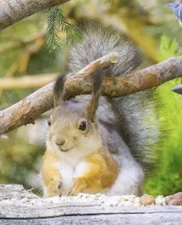 user avatar image for AutumnM