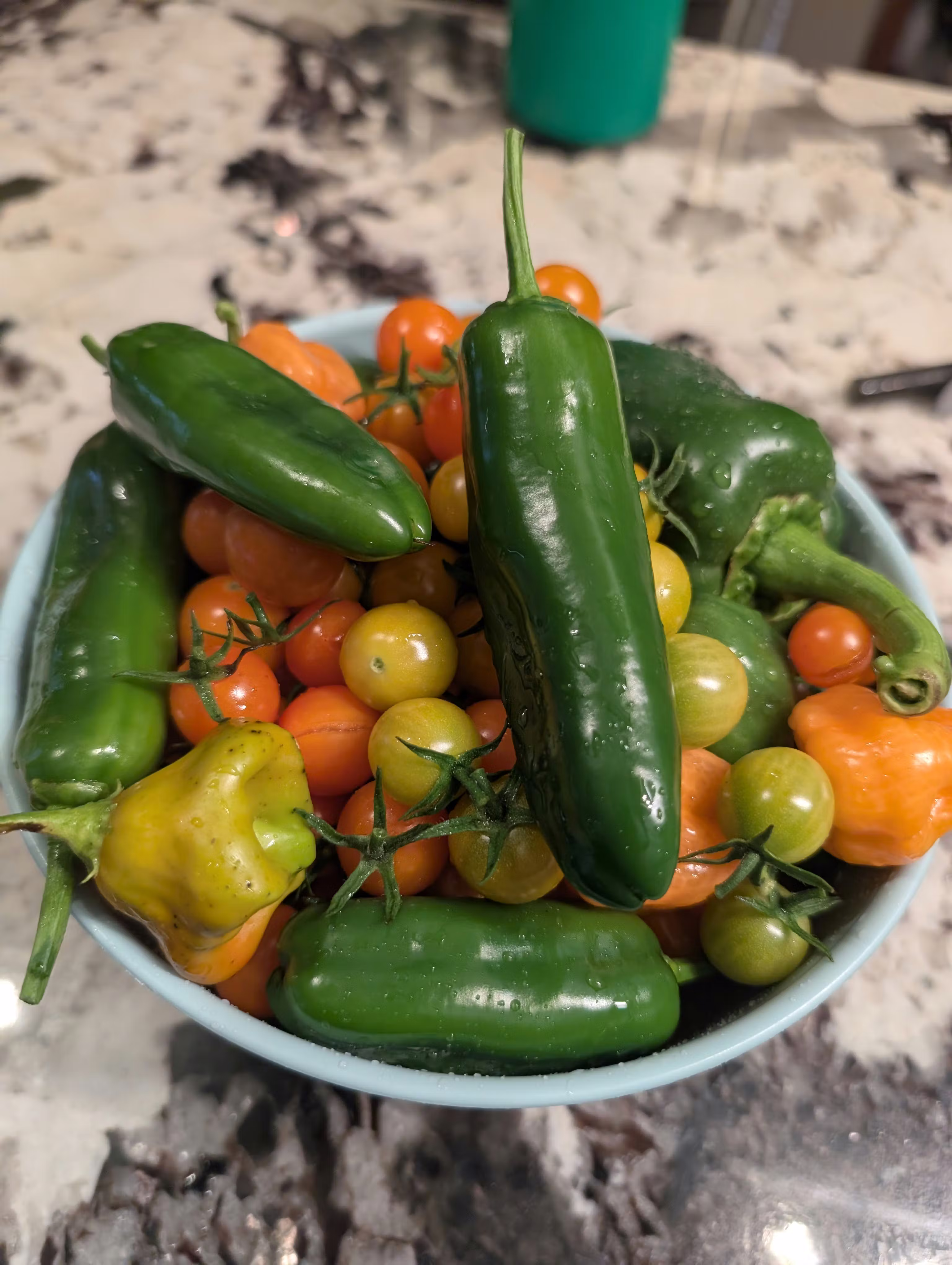 user avatar image for Amanda 