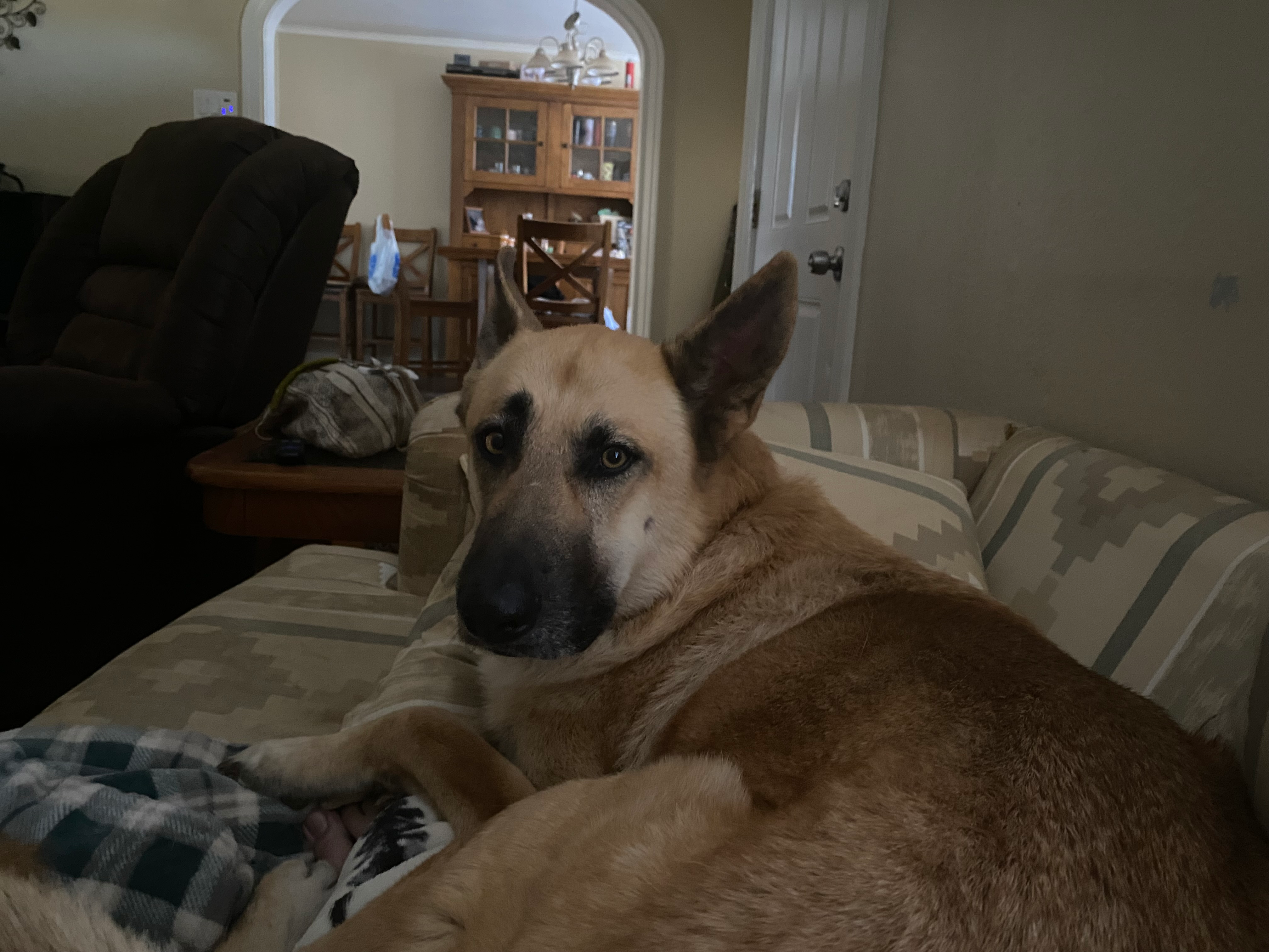 user avatar image for Michelle S