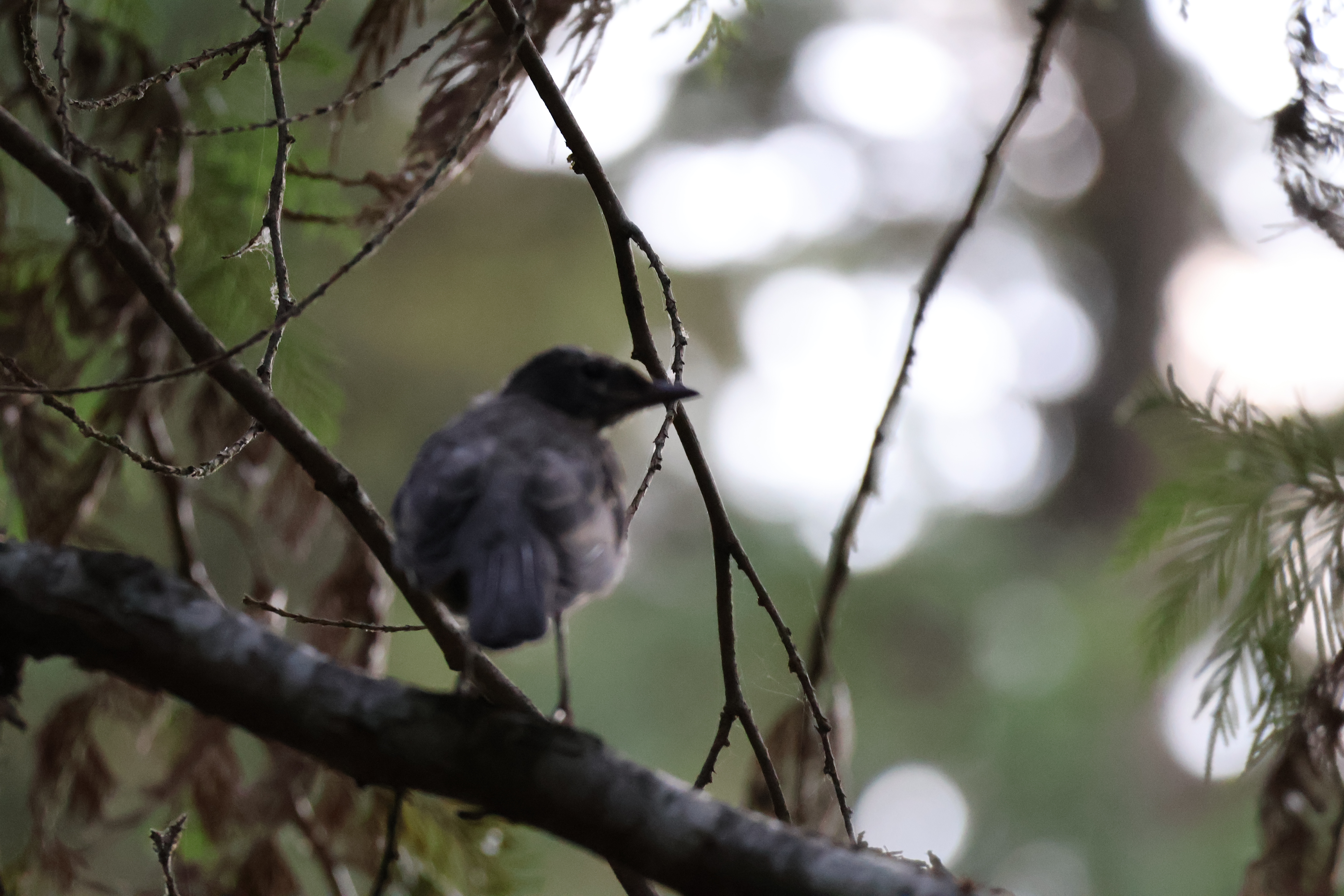 user avatar image for Tim