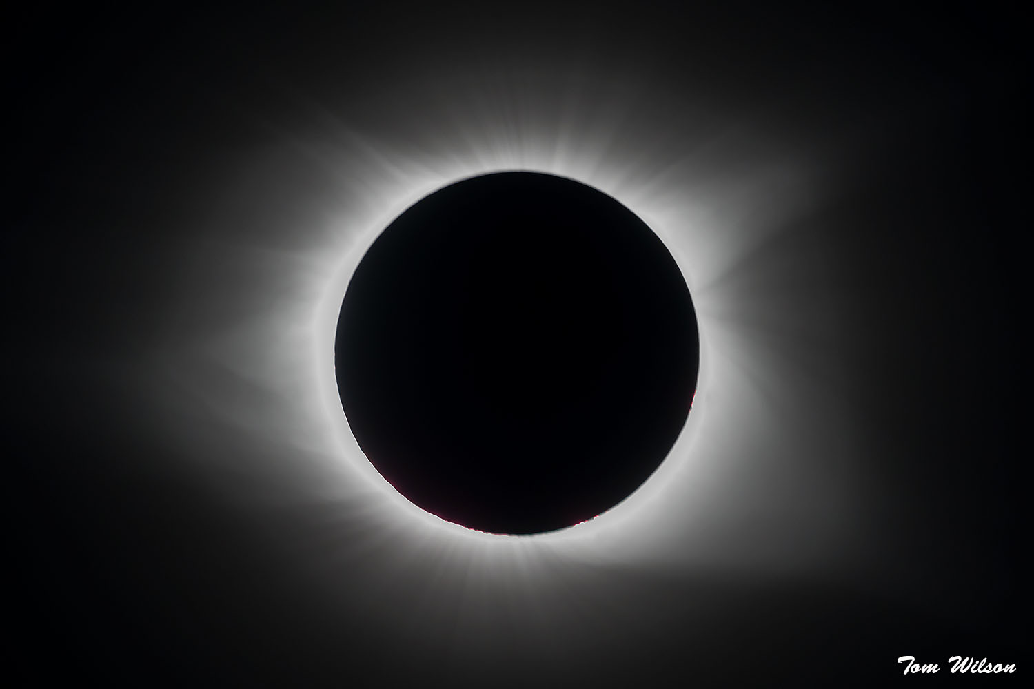 user avatar image for Mantra