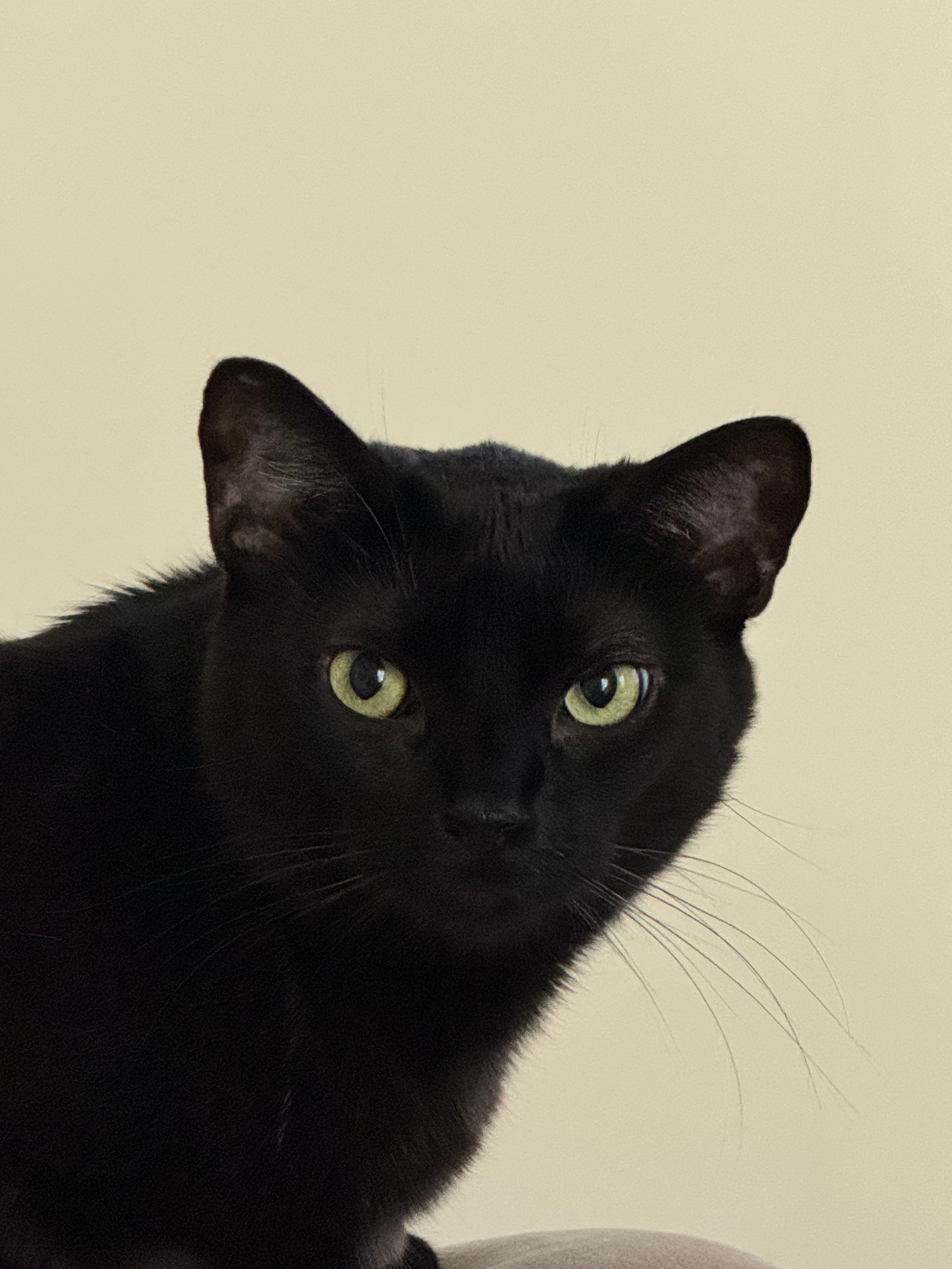 user avatar image for Alex 