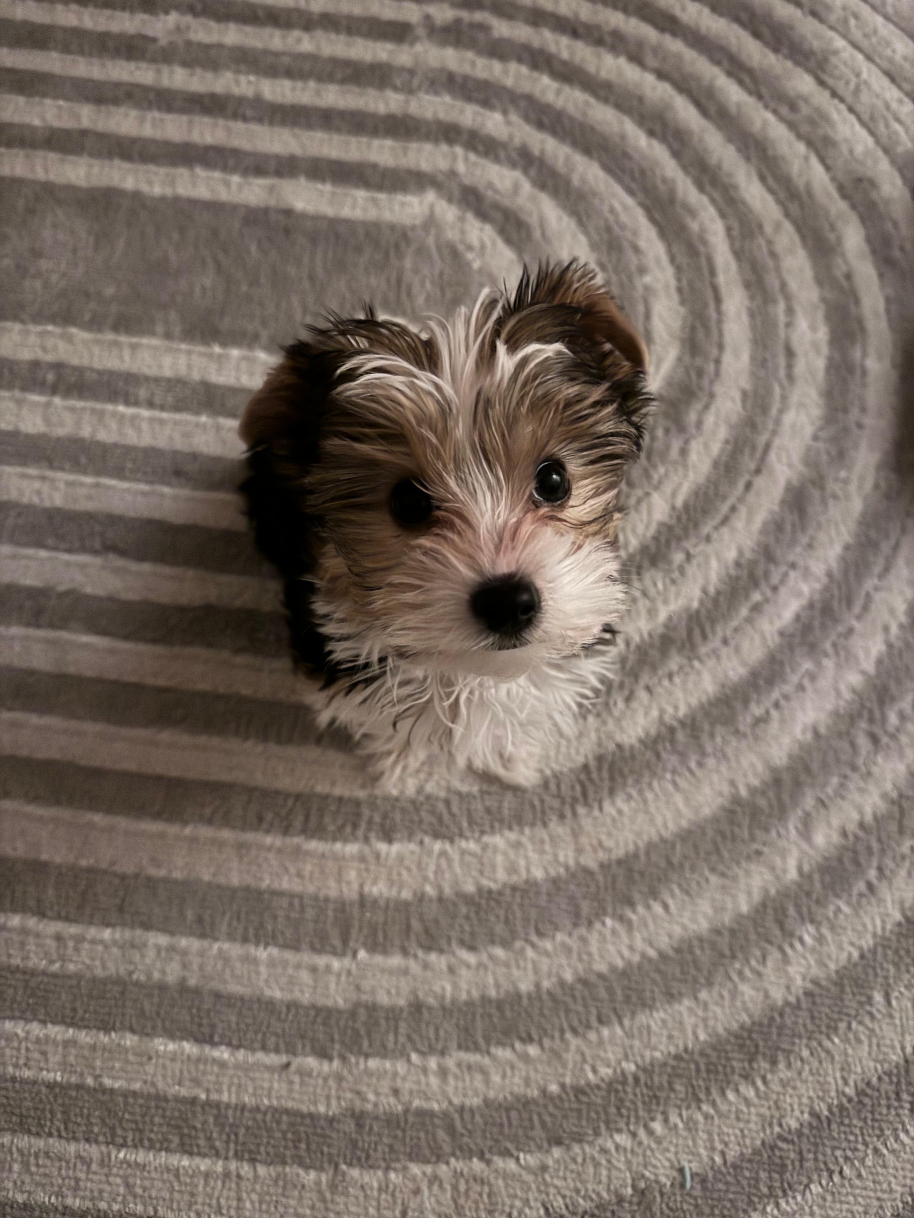 user avatar image for Claire Bass