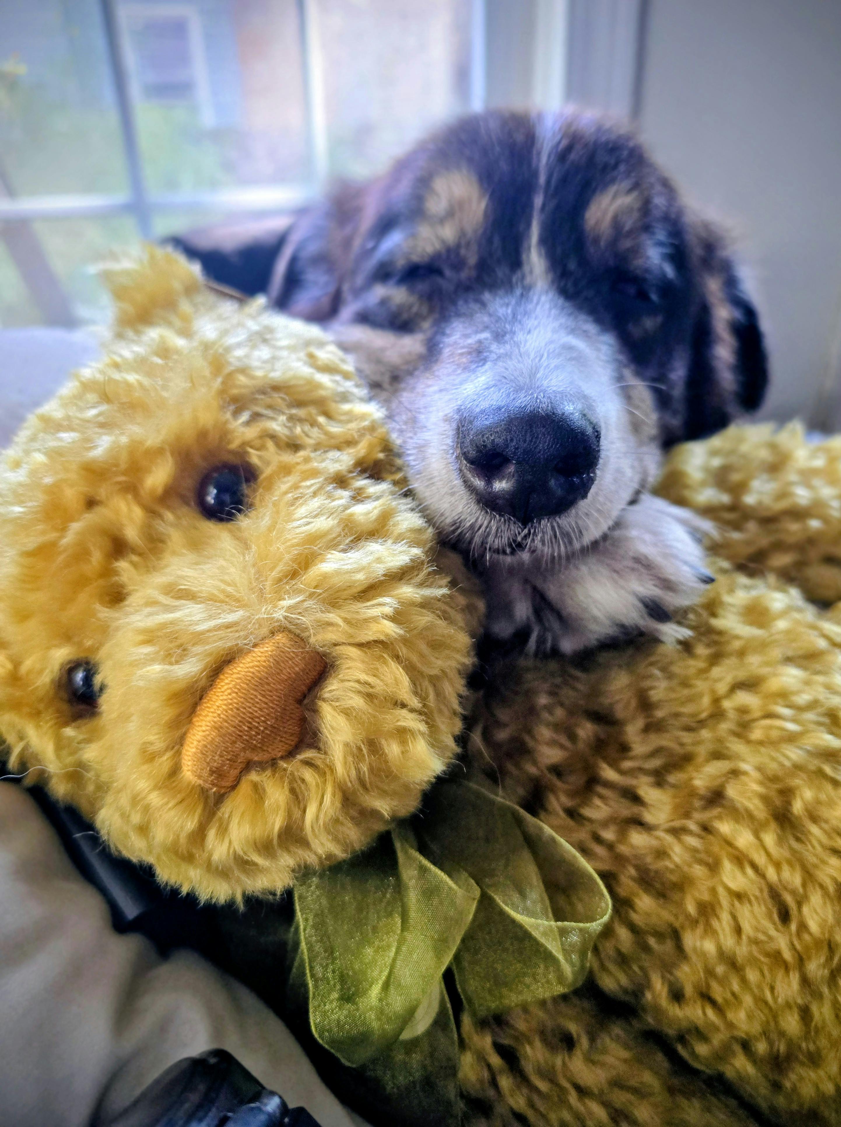 user avatar image for Kristina Whetzel