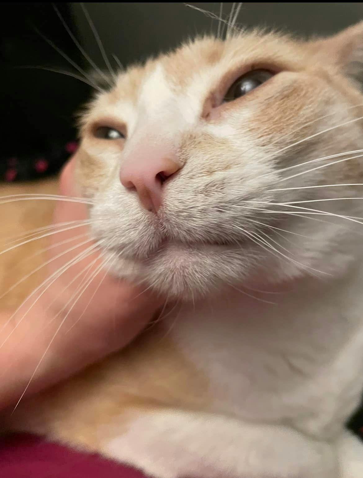 user avatar image for Phill Cameron