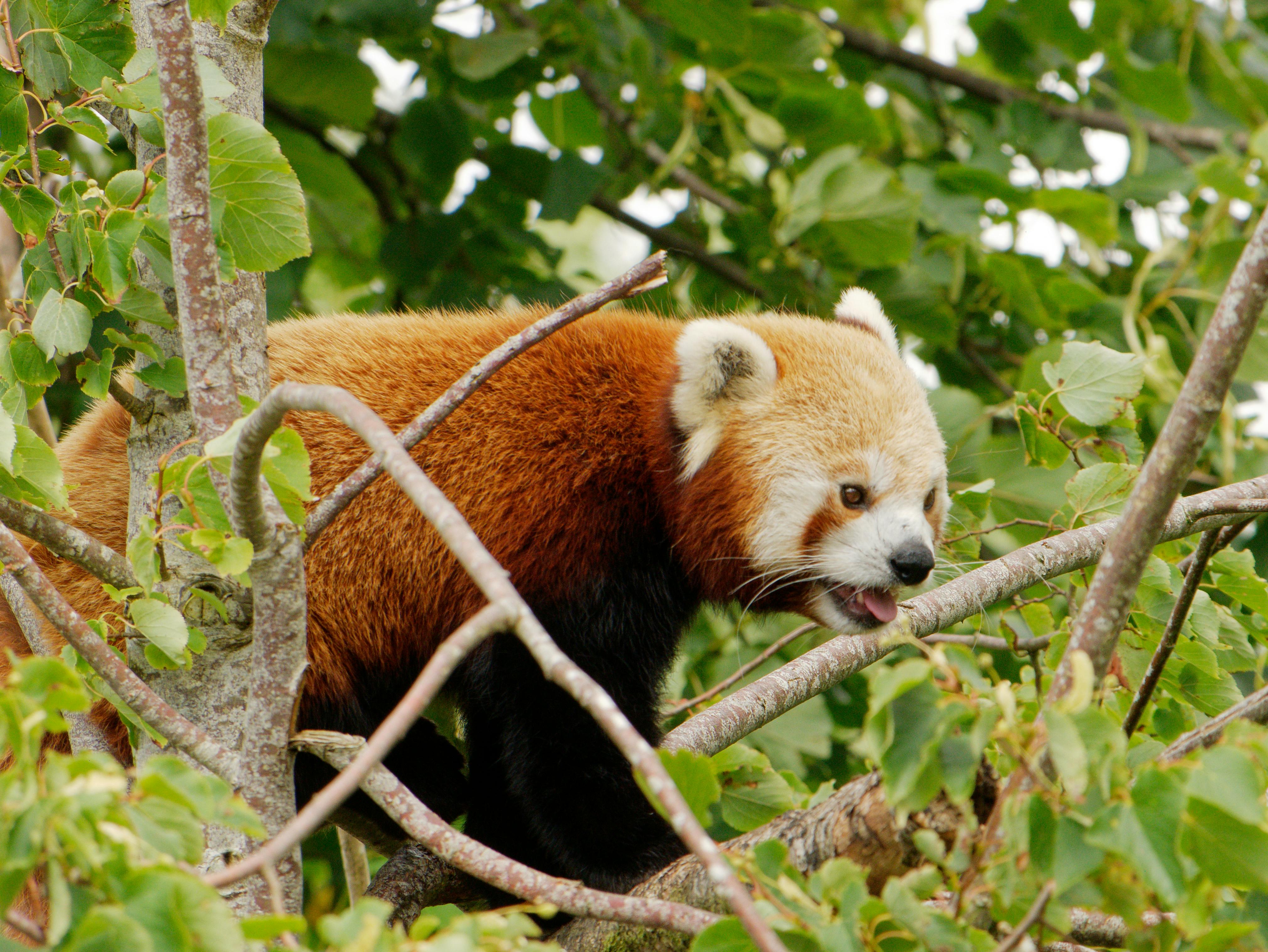 user avatar image for Sheila Jones