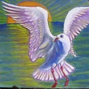 user avatar image for m616m