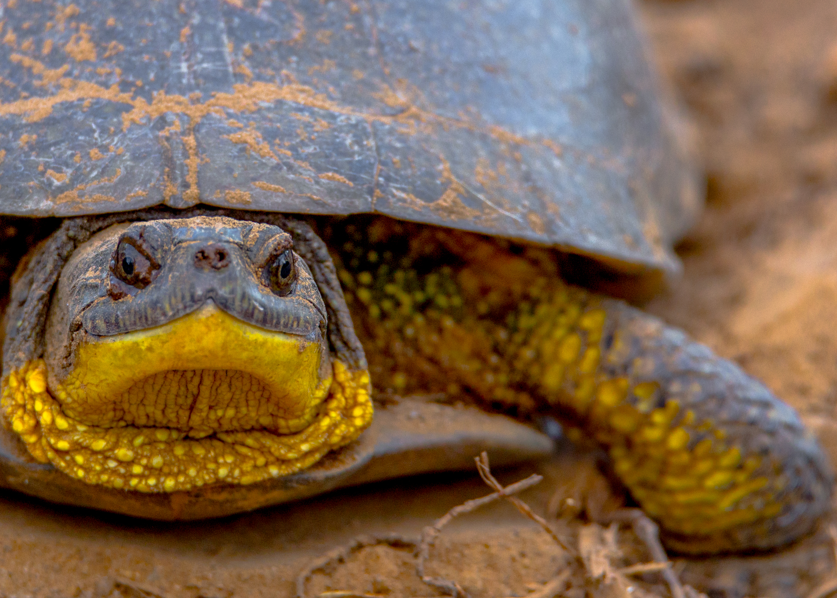 user avatar image for FortinJoe