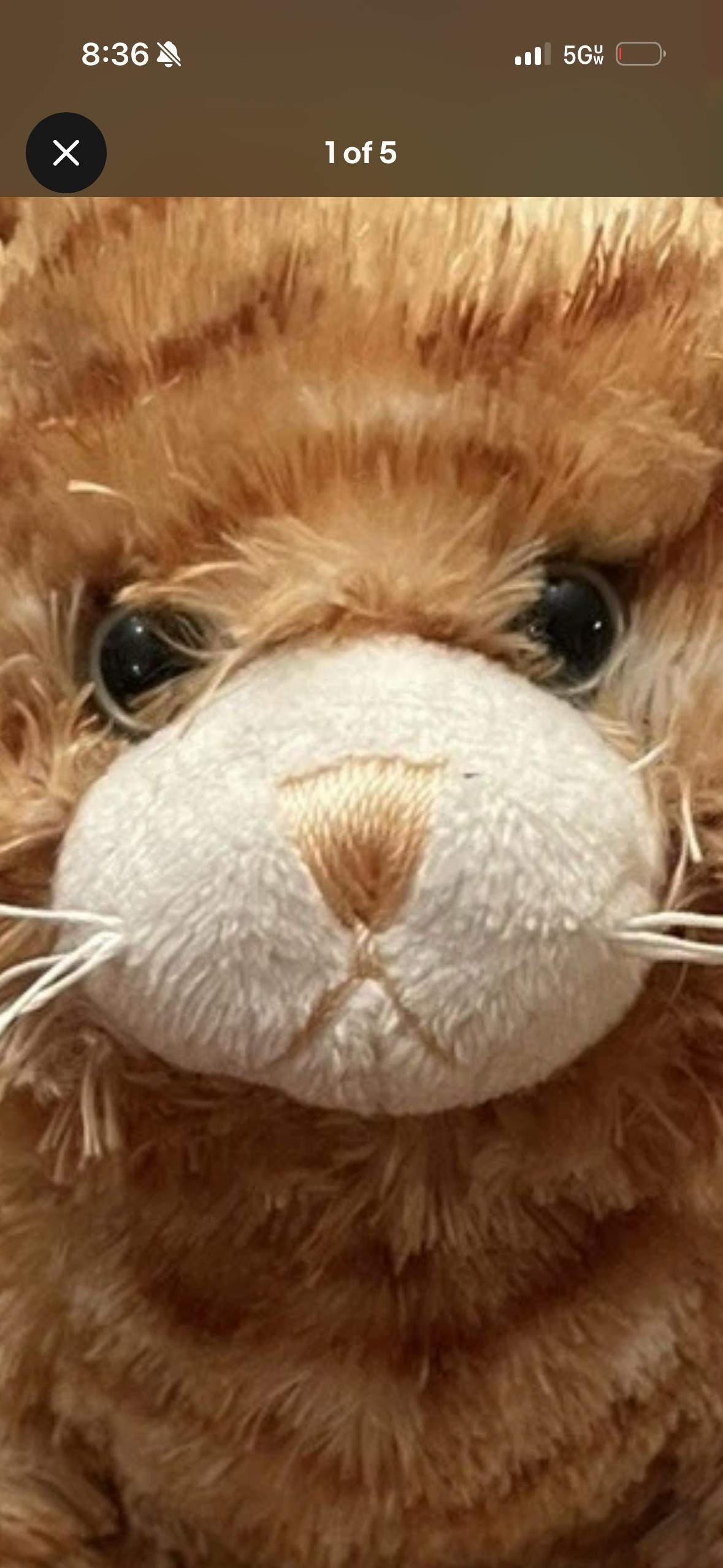 user avatar image for Brianna O’neal