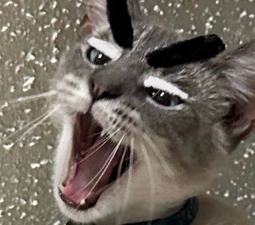 user avatar image for Madison Brink