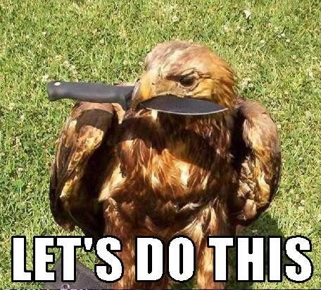 user avatar image for De_Scribes