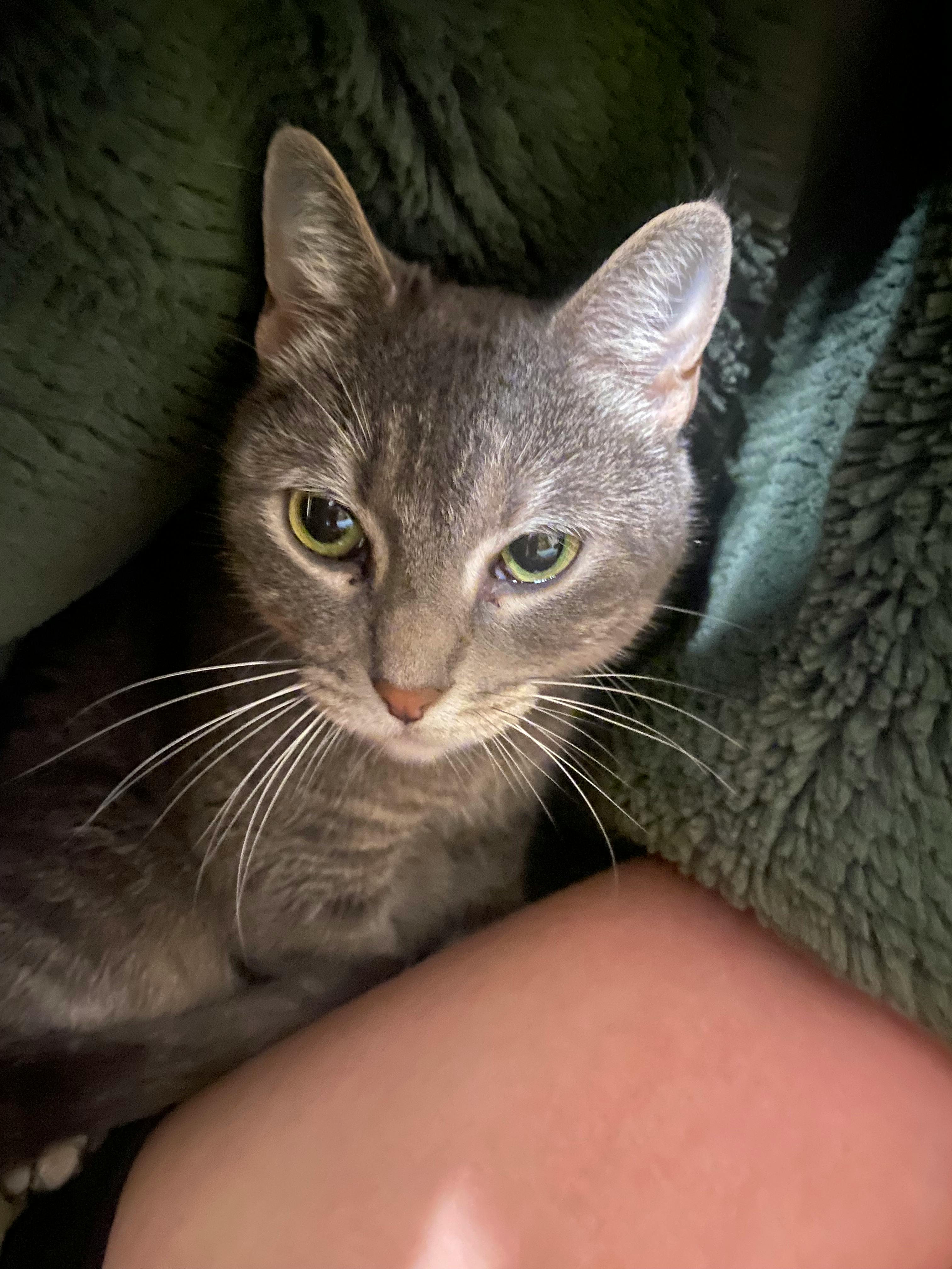 user avatar image for Shadey