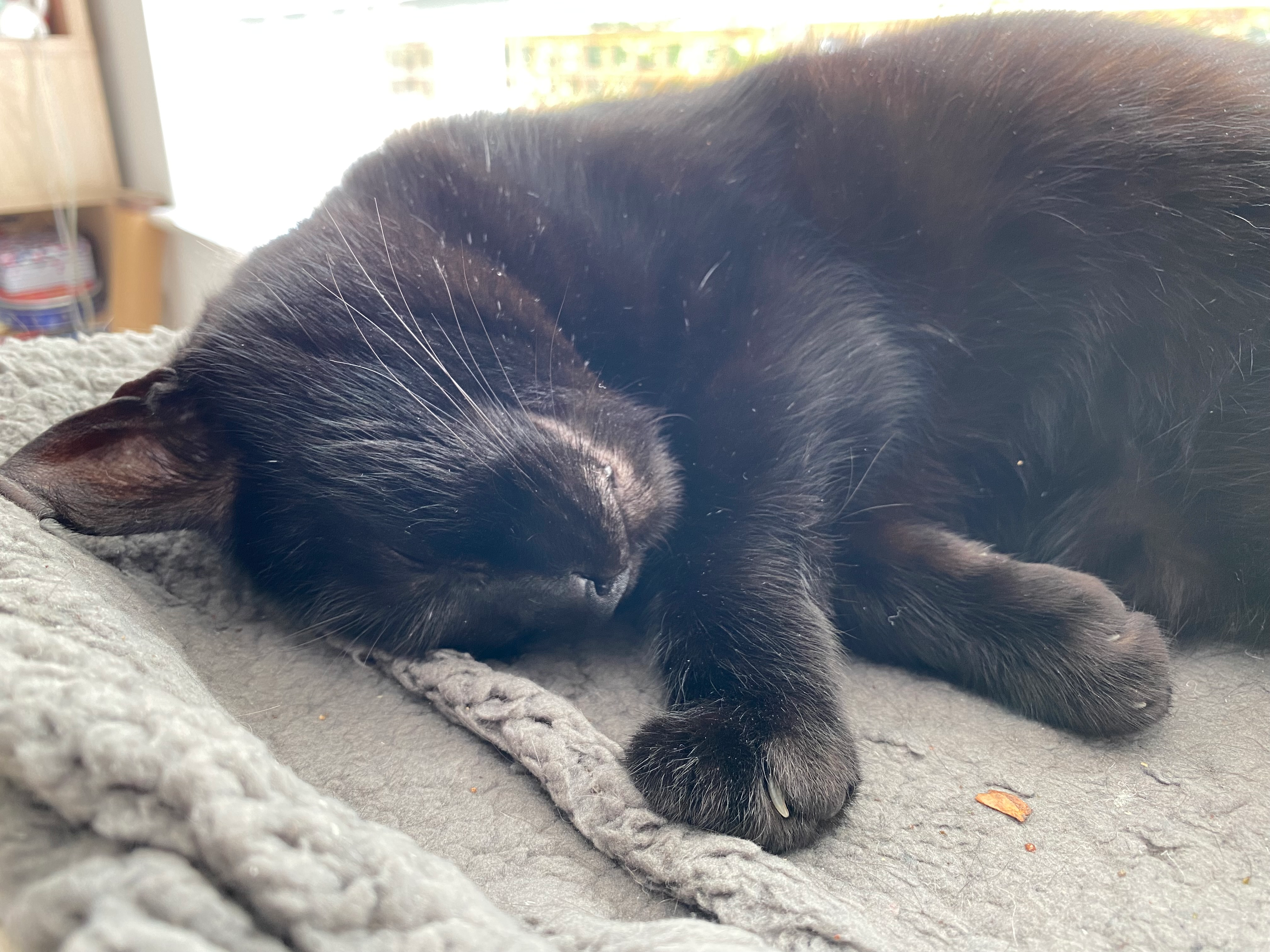 user avatar image for Jules