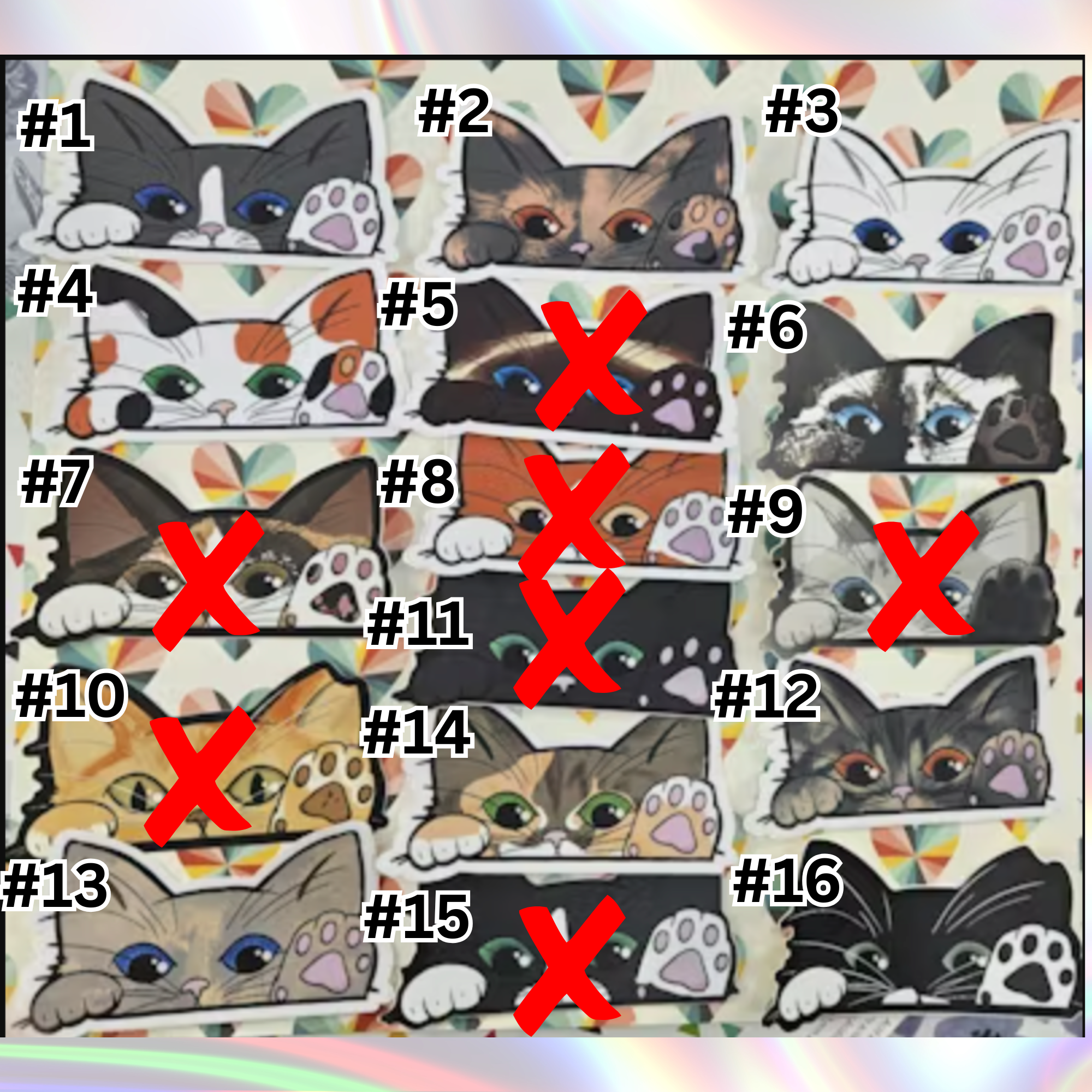 Kitty Peekers 5-Pack