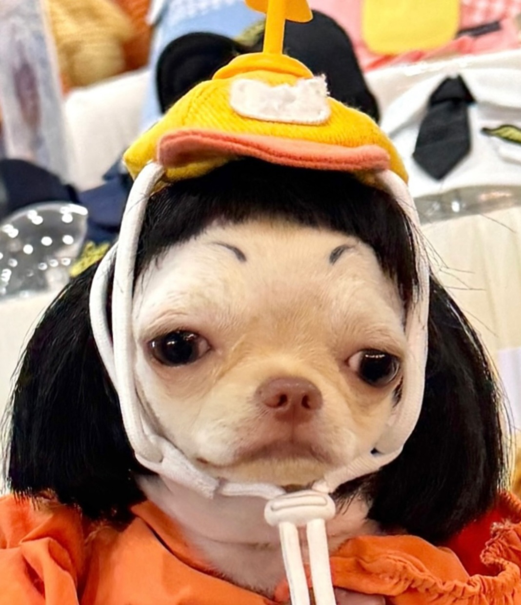 user avatar image for Olivia Probably