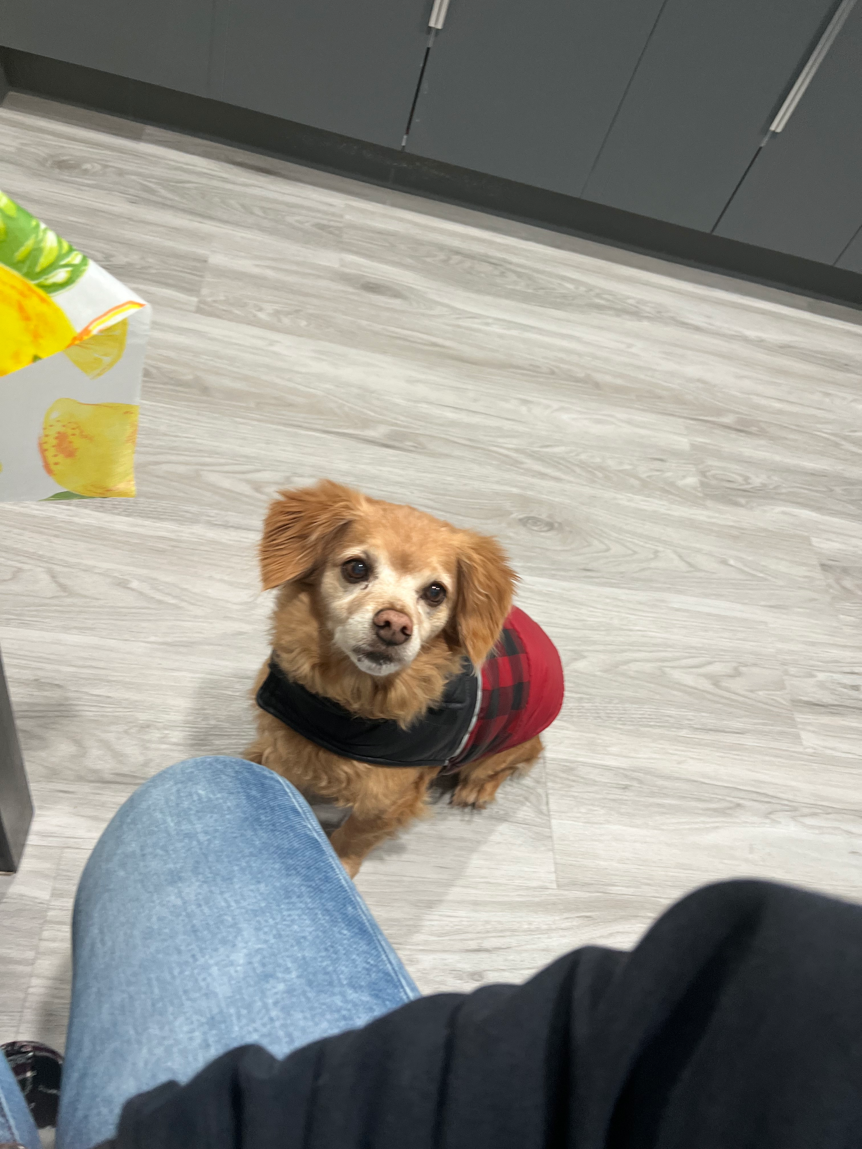 user avatar image for Samantha Saechao