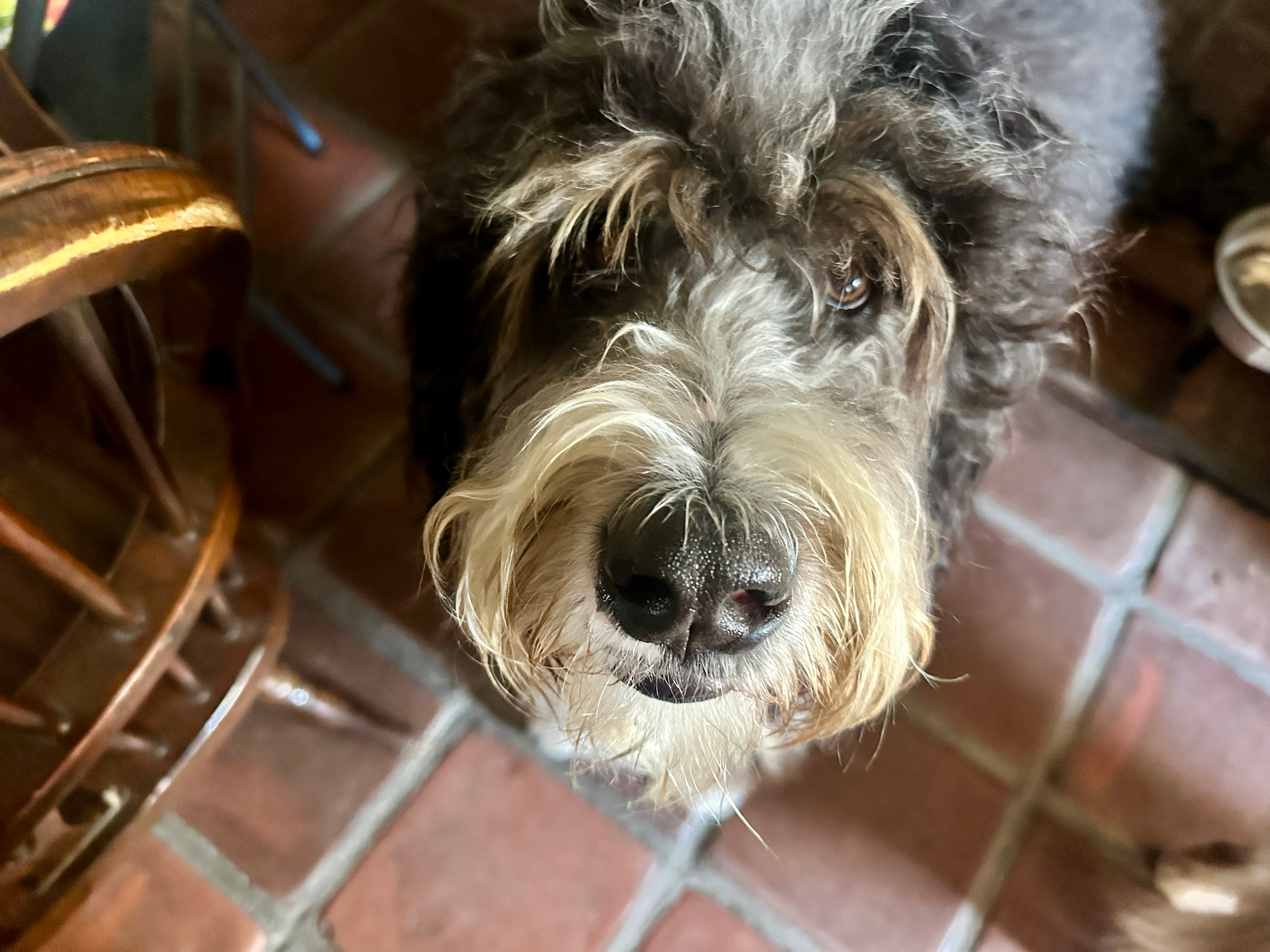 user avatar image for Jared Buck