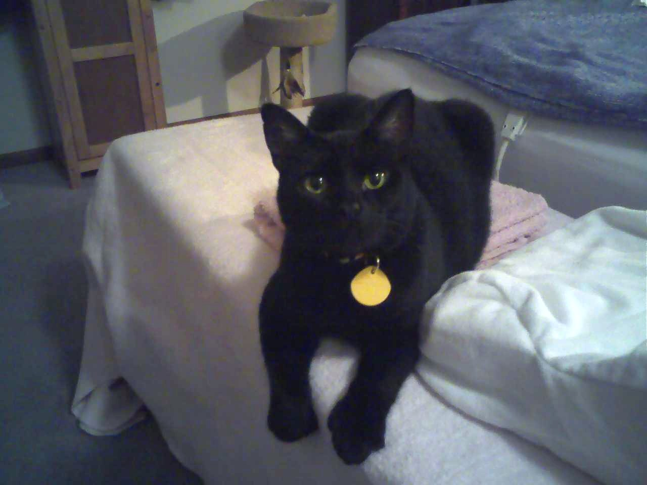 user avatar image for Kat B