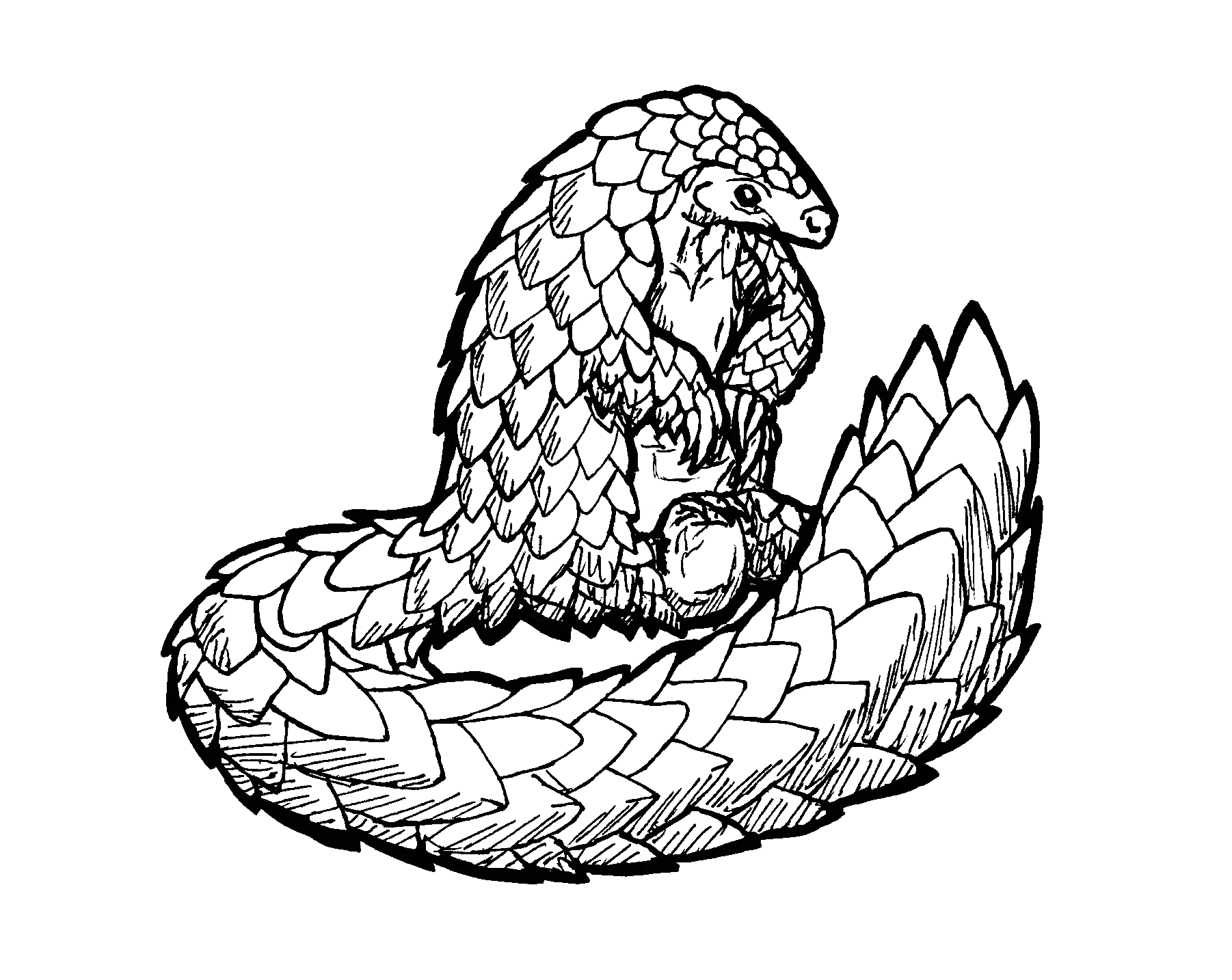 user avatar image for Dimotoro