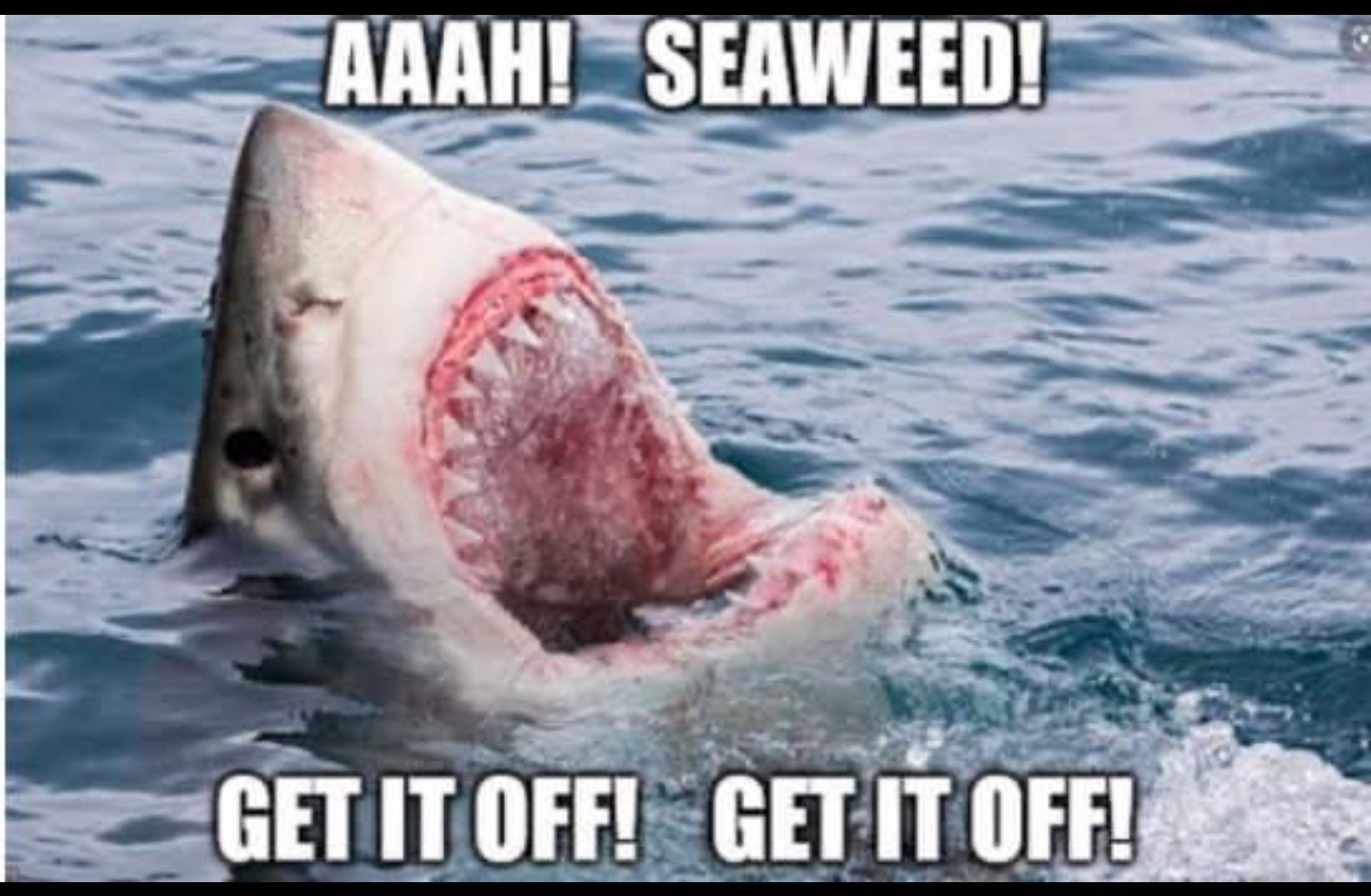 user avatar image for Hilary