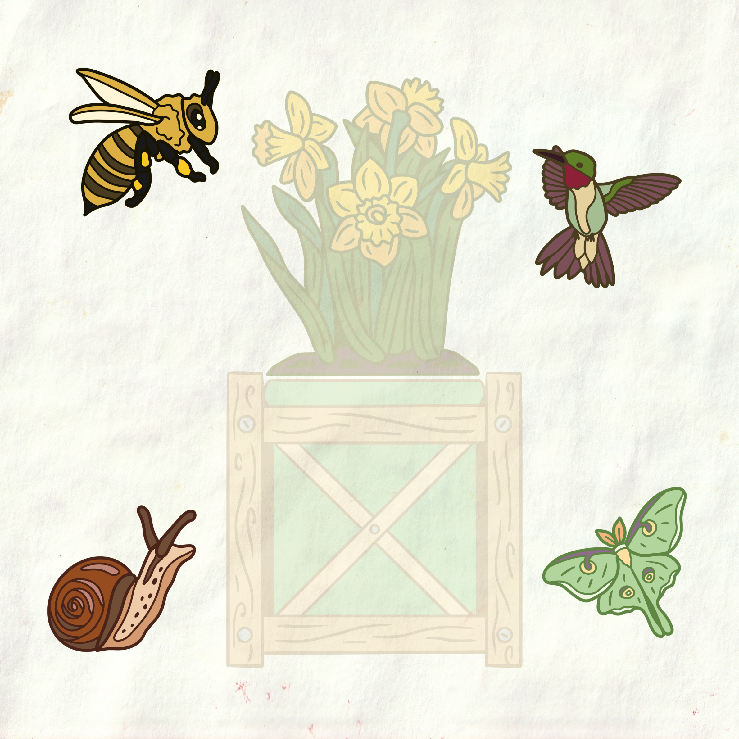 Pollinator Pin Set