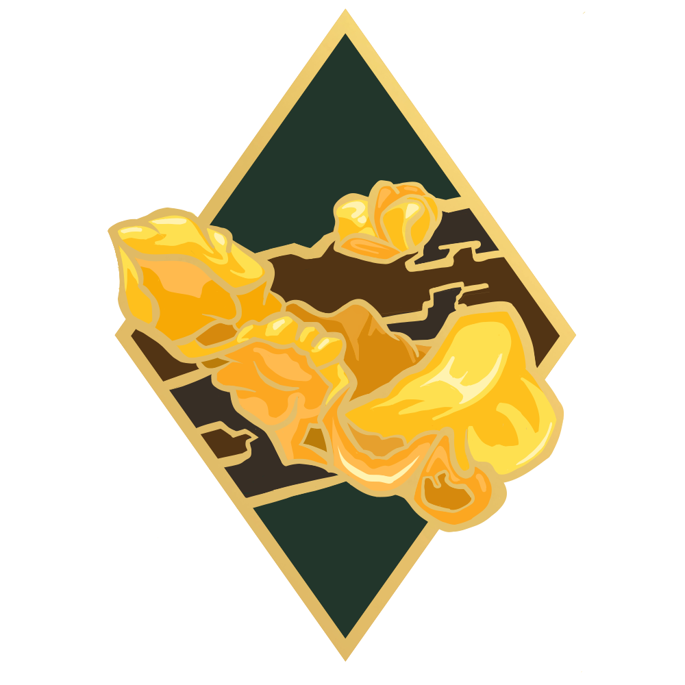 Witches Butter