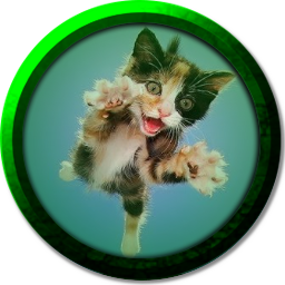 user avatar image for Yvette