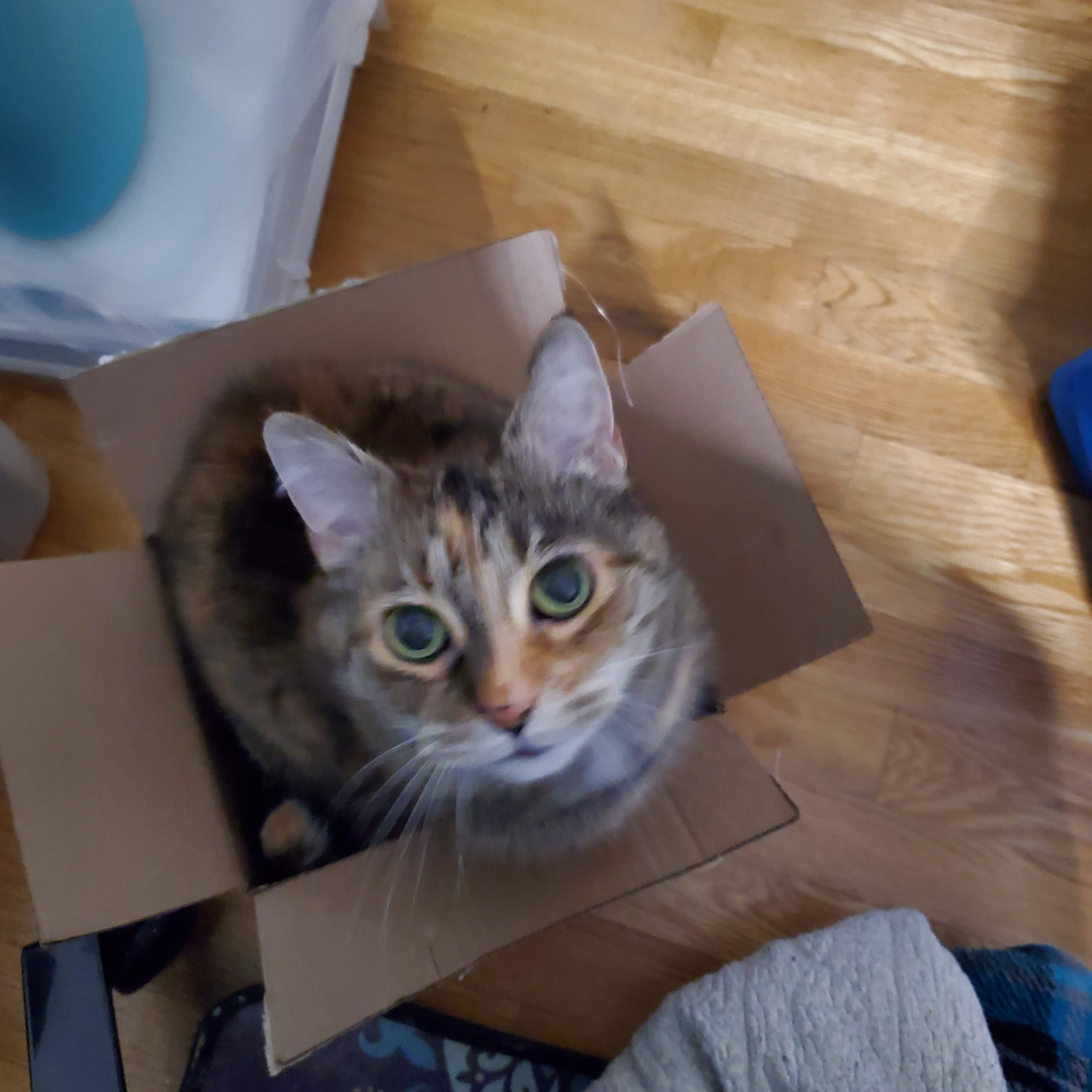 Box