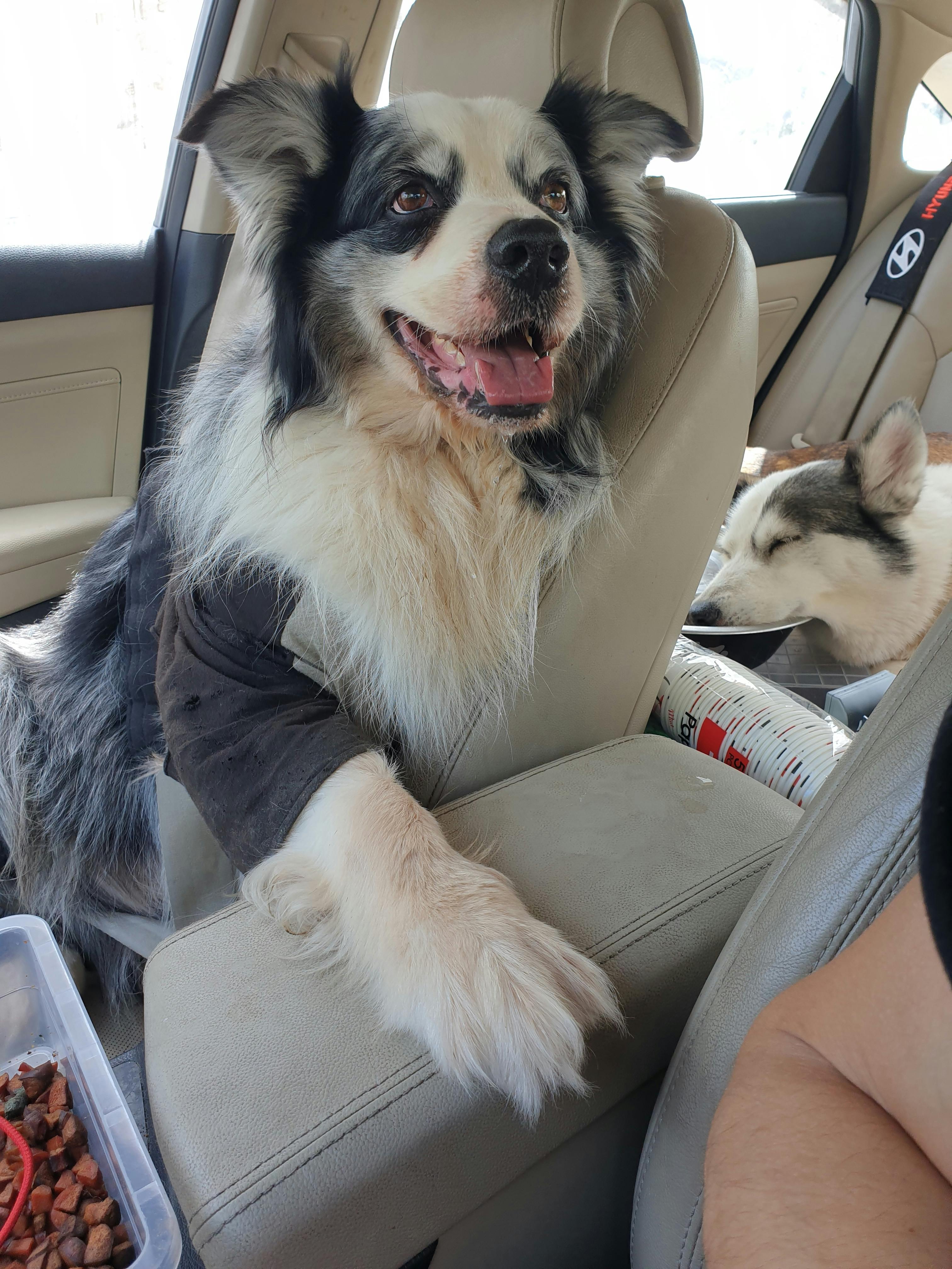 user avatar image for TheGrimReaper