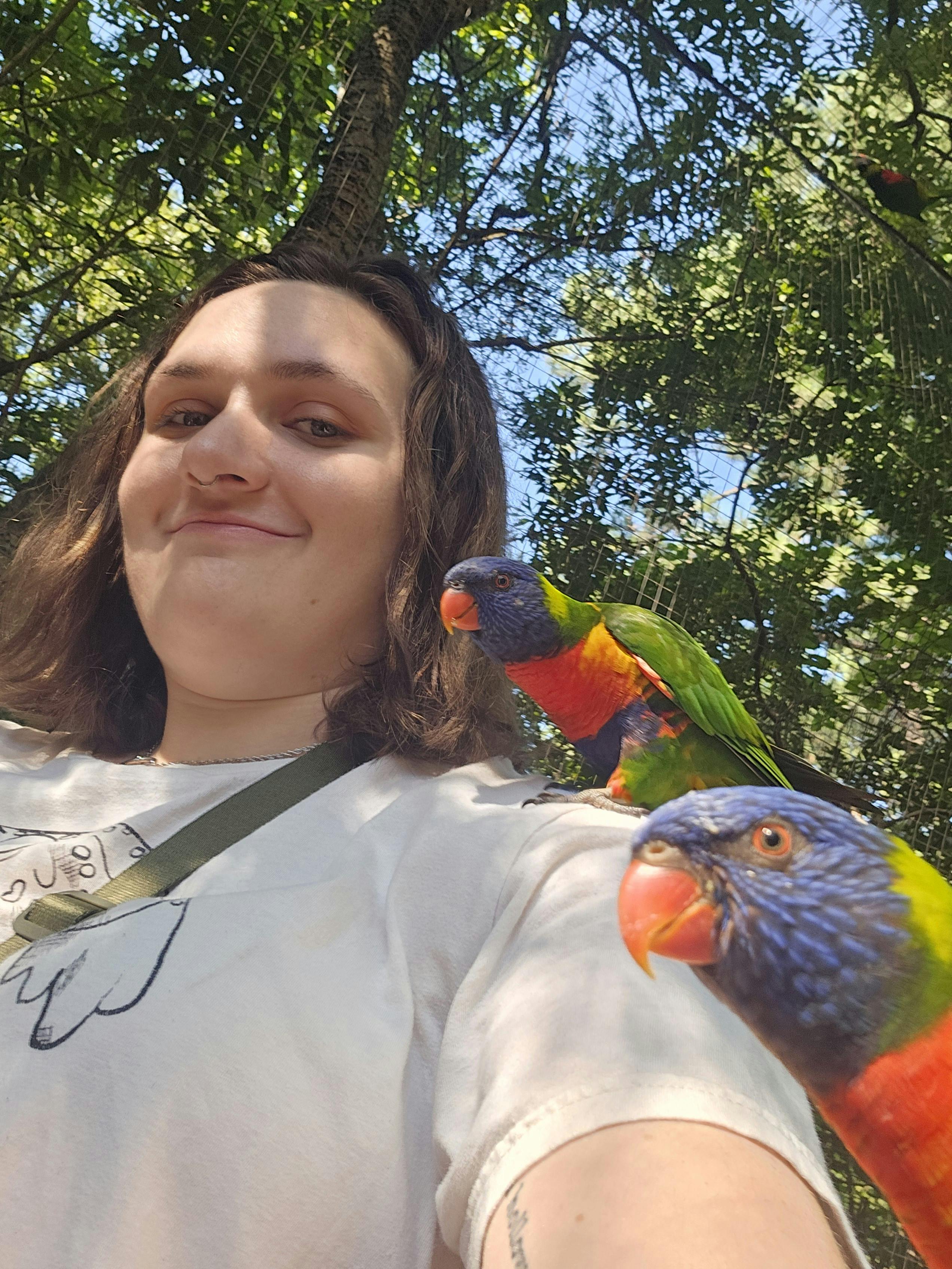 user avatar image for Witty