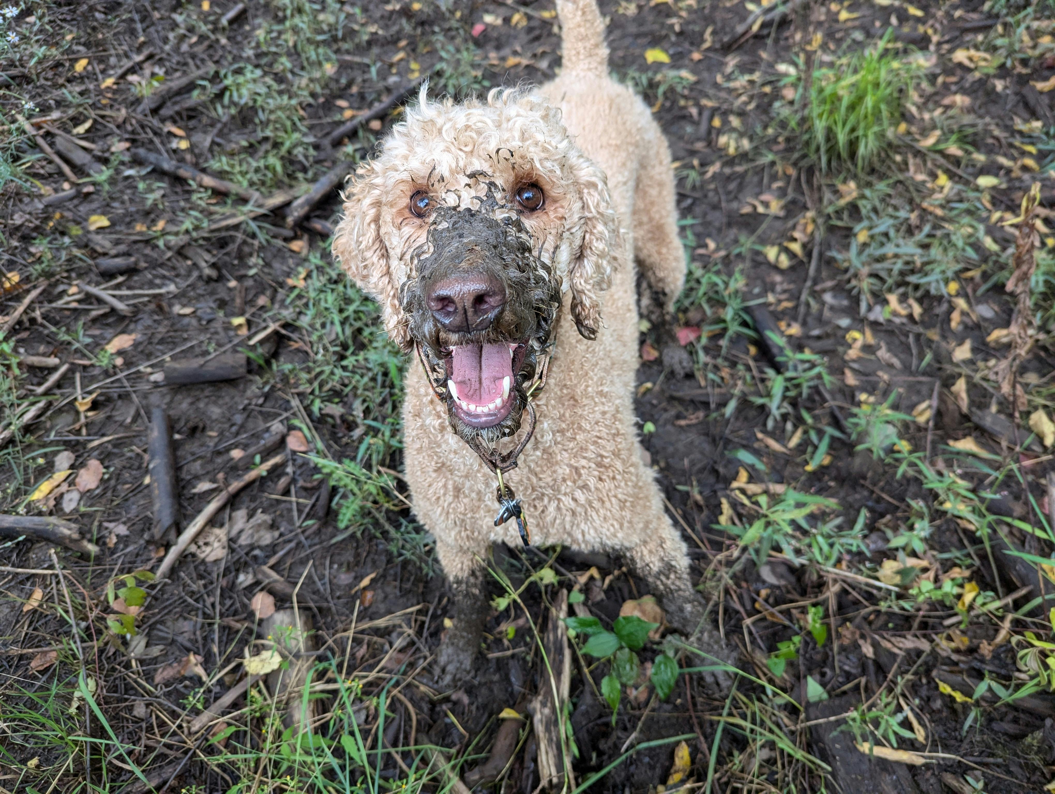 user avatar image for Verity Contrarity