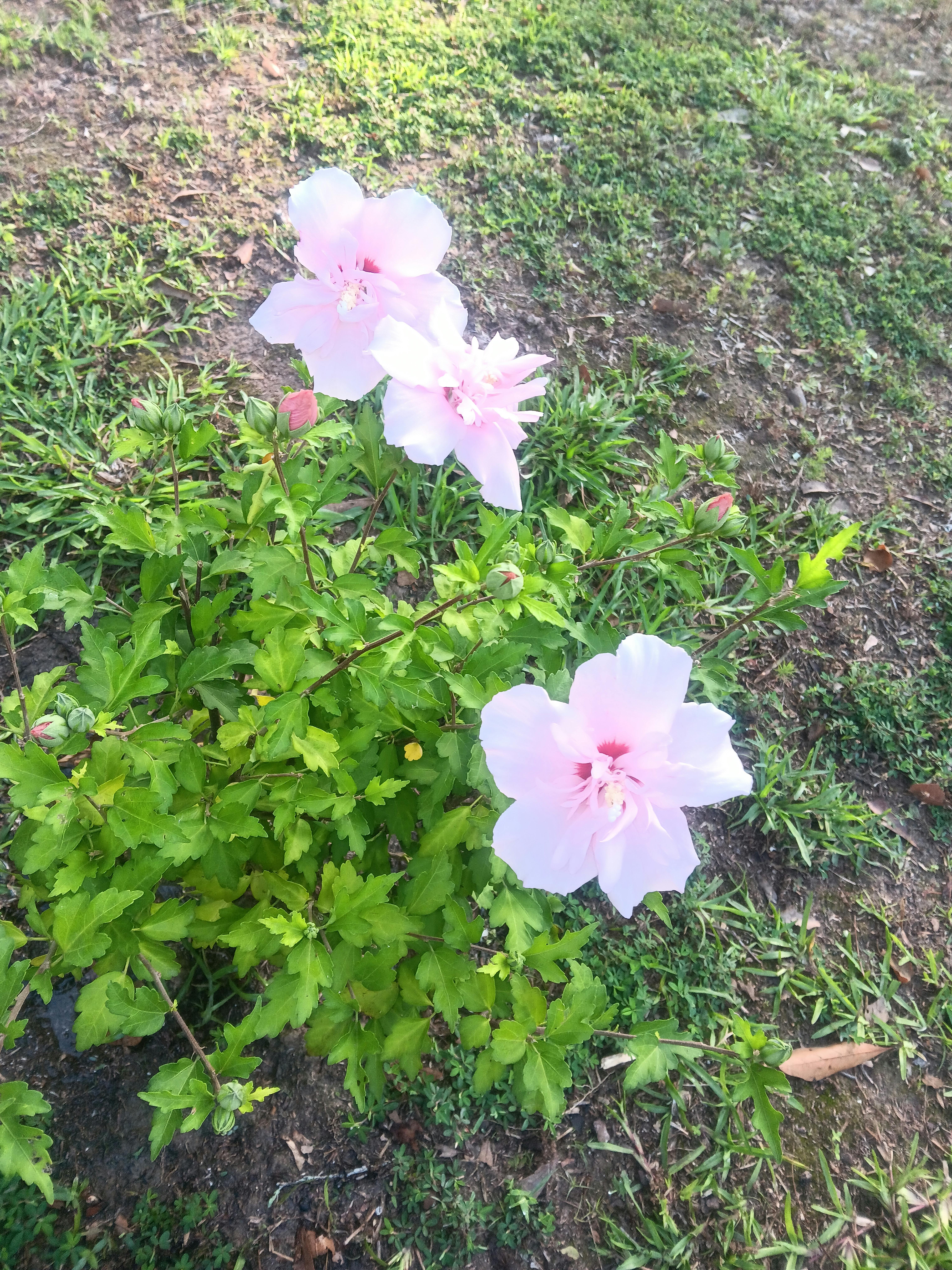 user avatar image for David