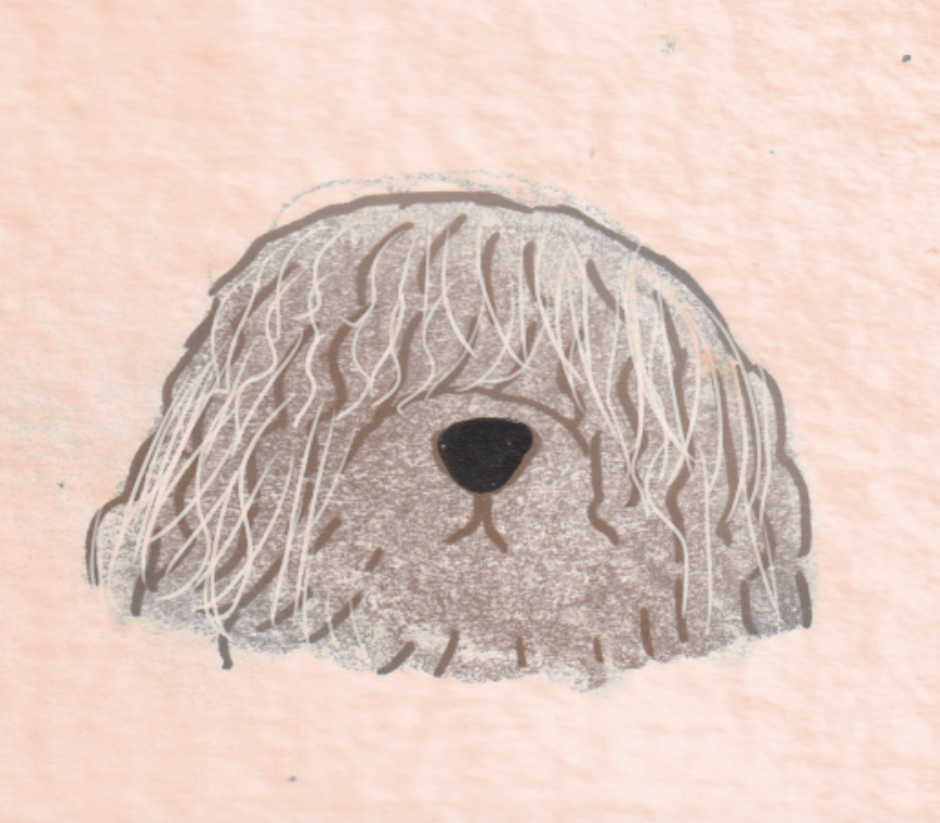 user avatar image for Hamish Hector-Taylor