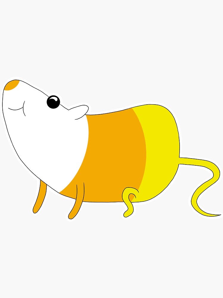 user avatar image for Grace 