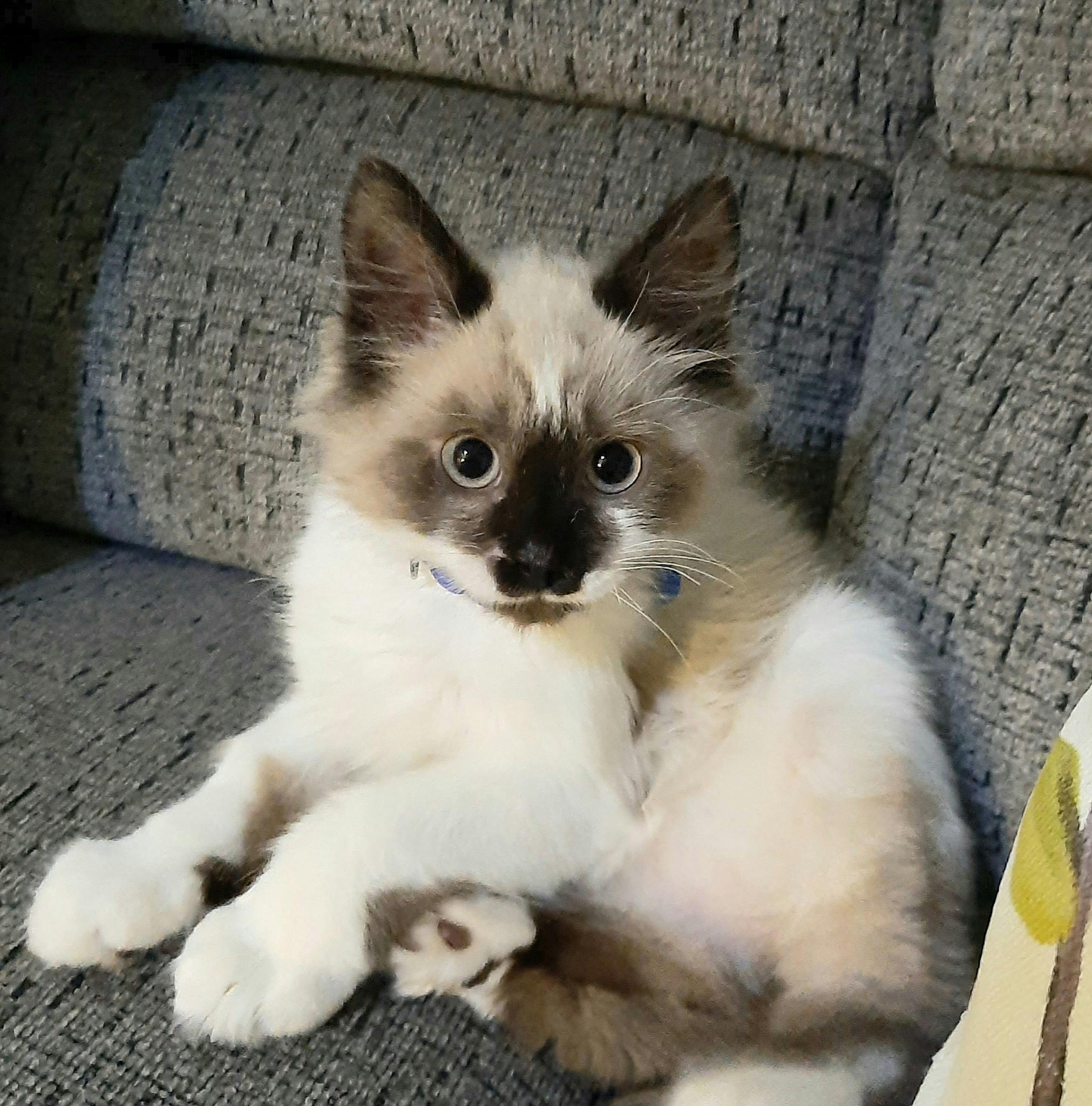 user avatar image for Michelle_in_VB