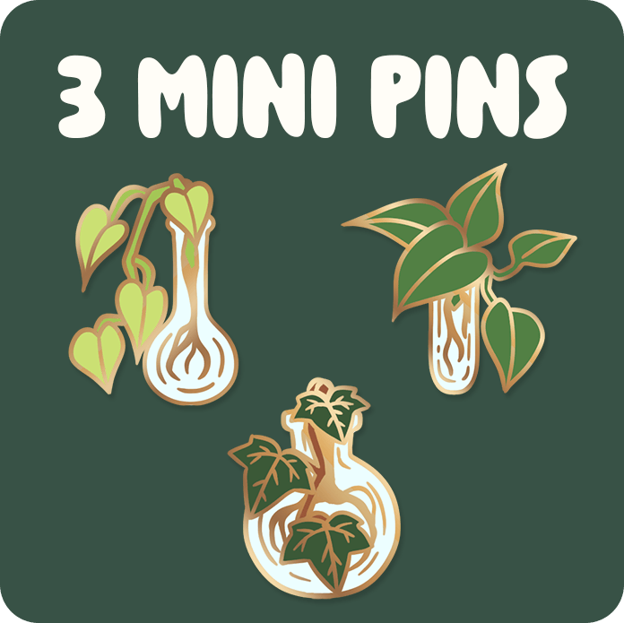 3 Pins