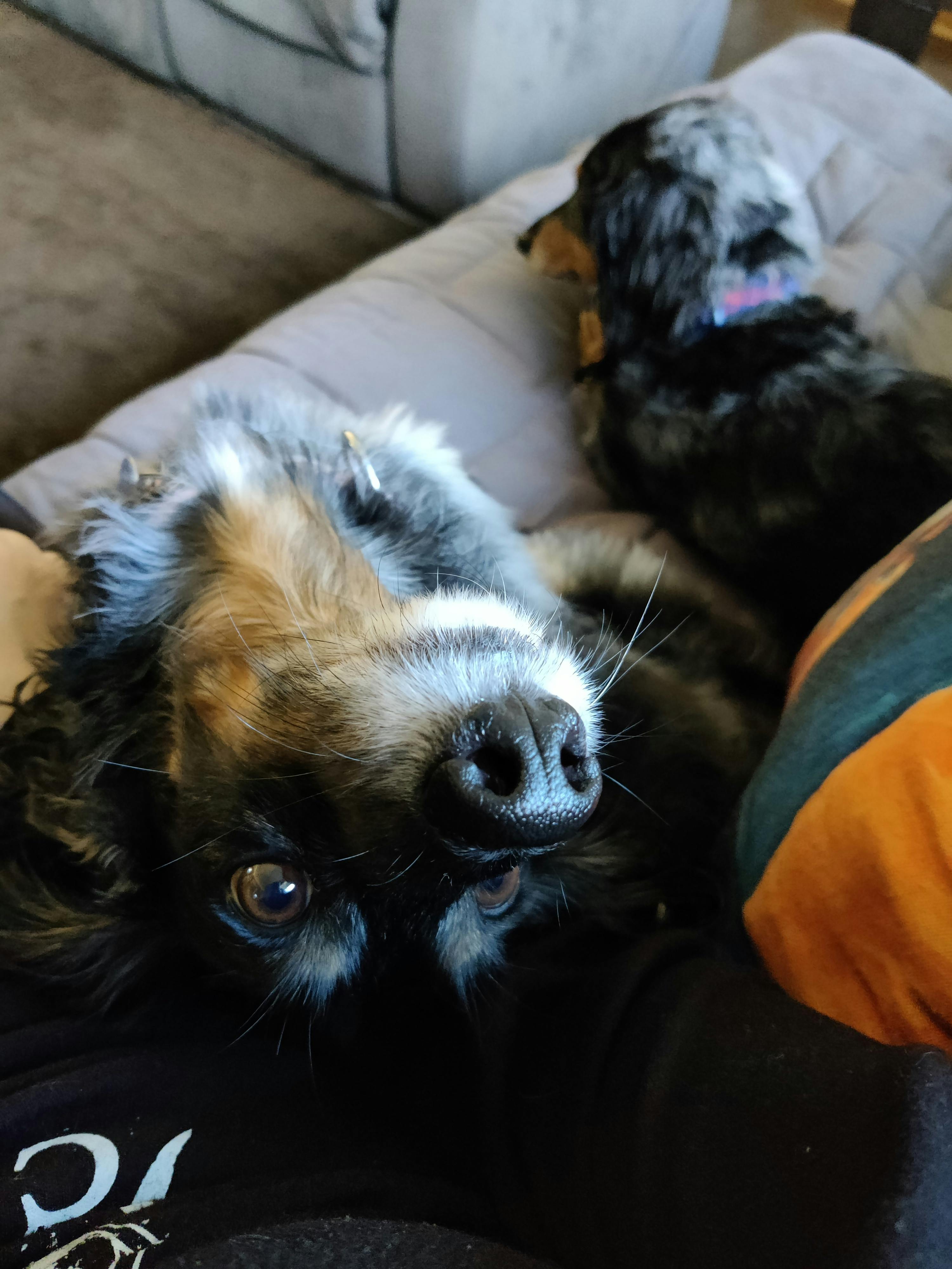 user avatar image for CK