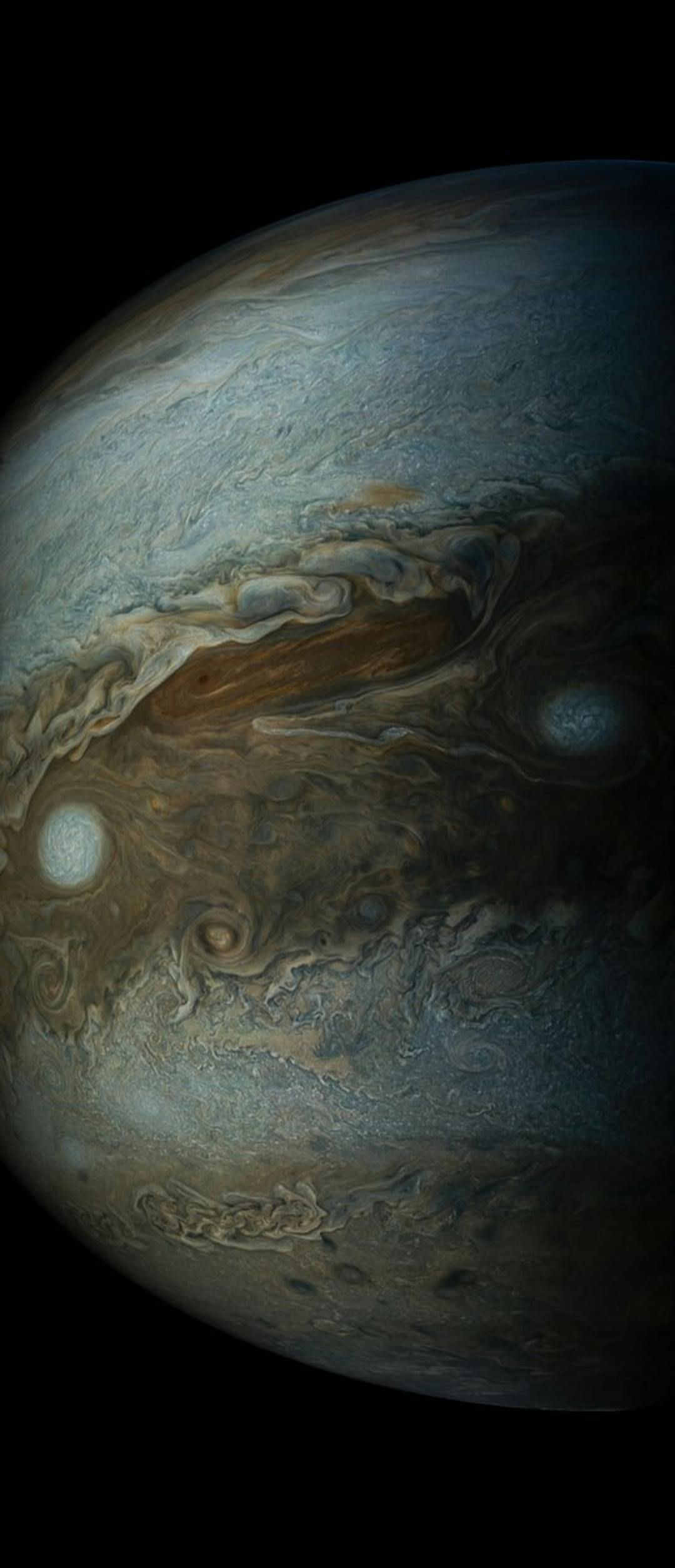 user avatar image for Nicholas Spaulding 