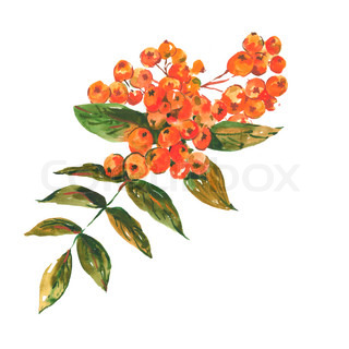 user avatar image for rowanamethyst