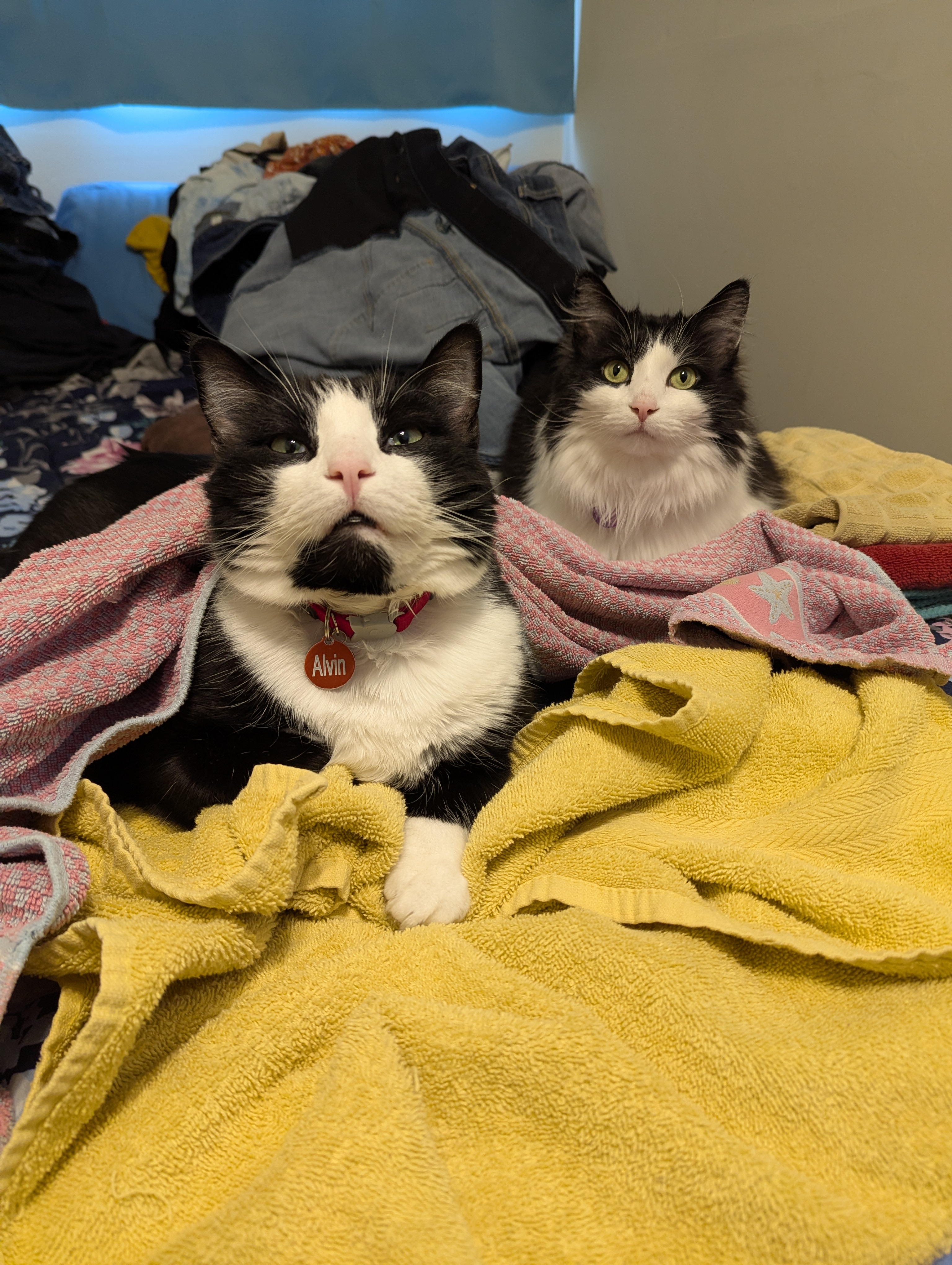 user avatar image for Mike 