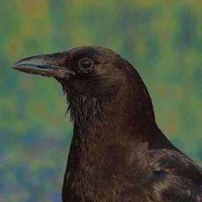 user avatar image for Aldera