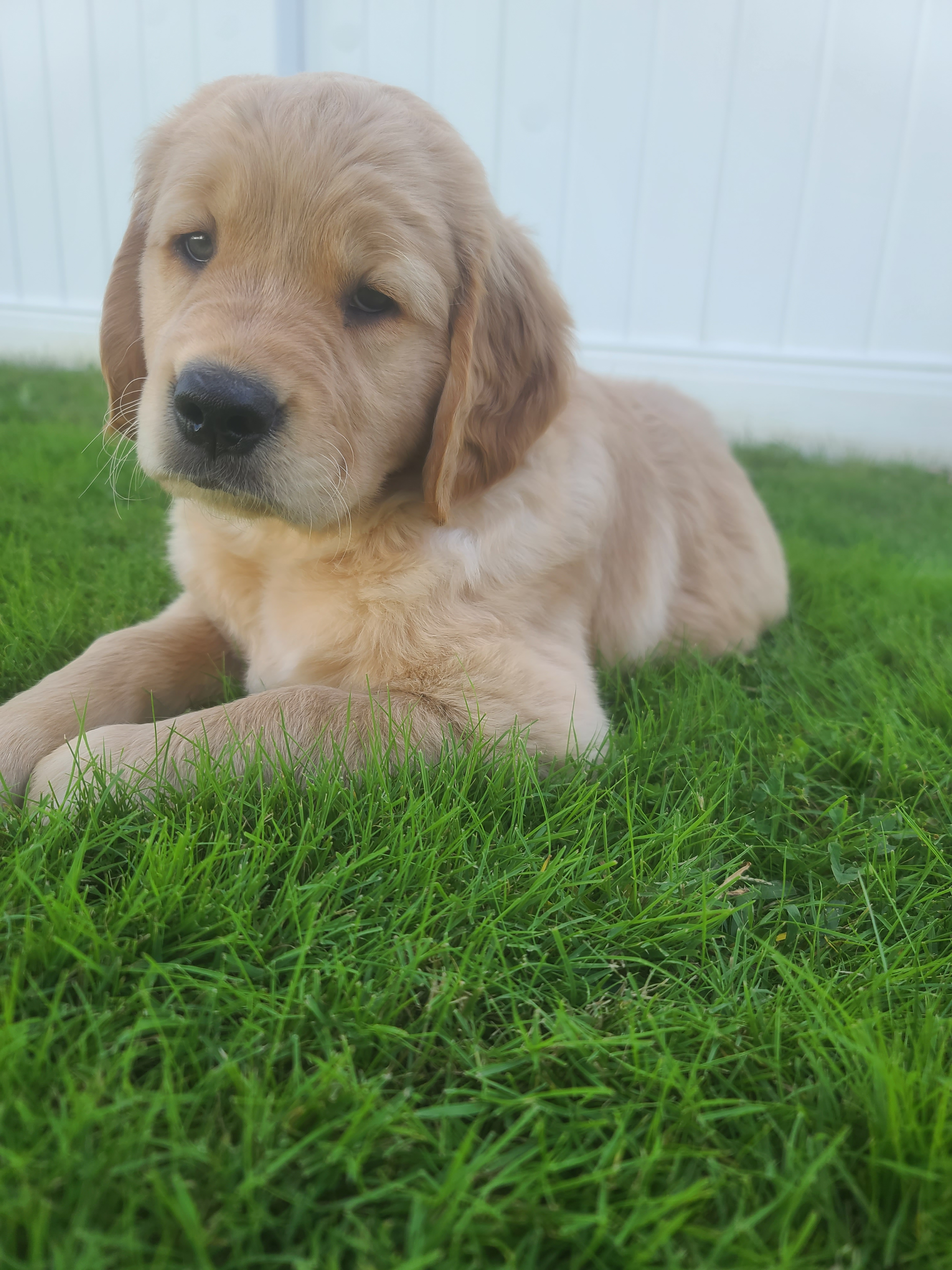 user avatar image for Feldren 