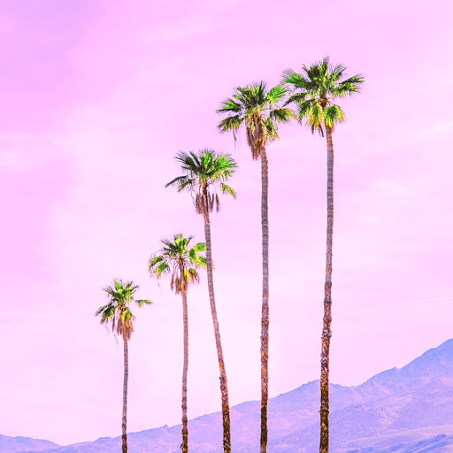 user avatar image for Rainst0rmz