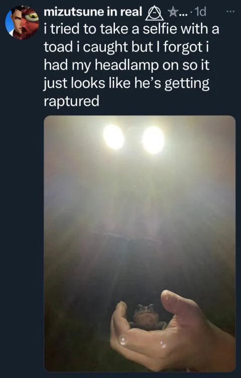 user avatar image for The Rampaging Chicken