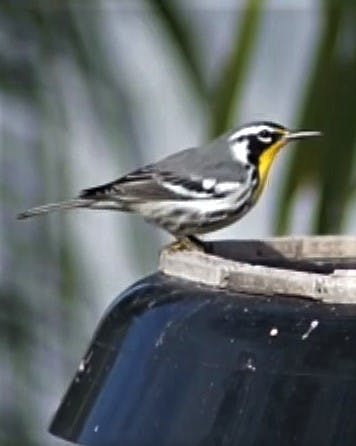 user avatar image for abovetheclouds