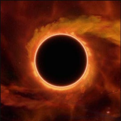 user avatar image for 13 Pitch Black Cats