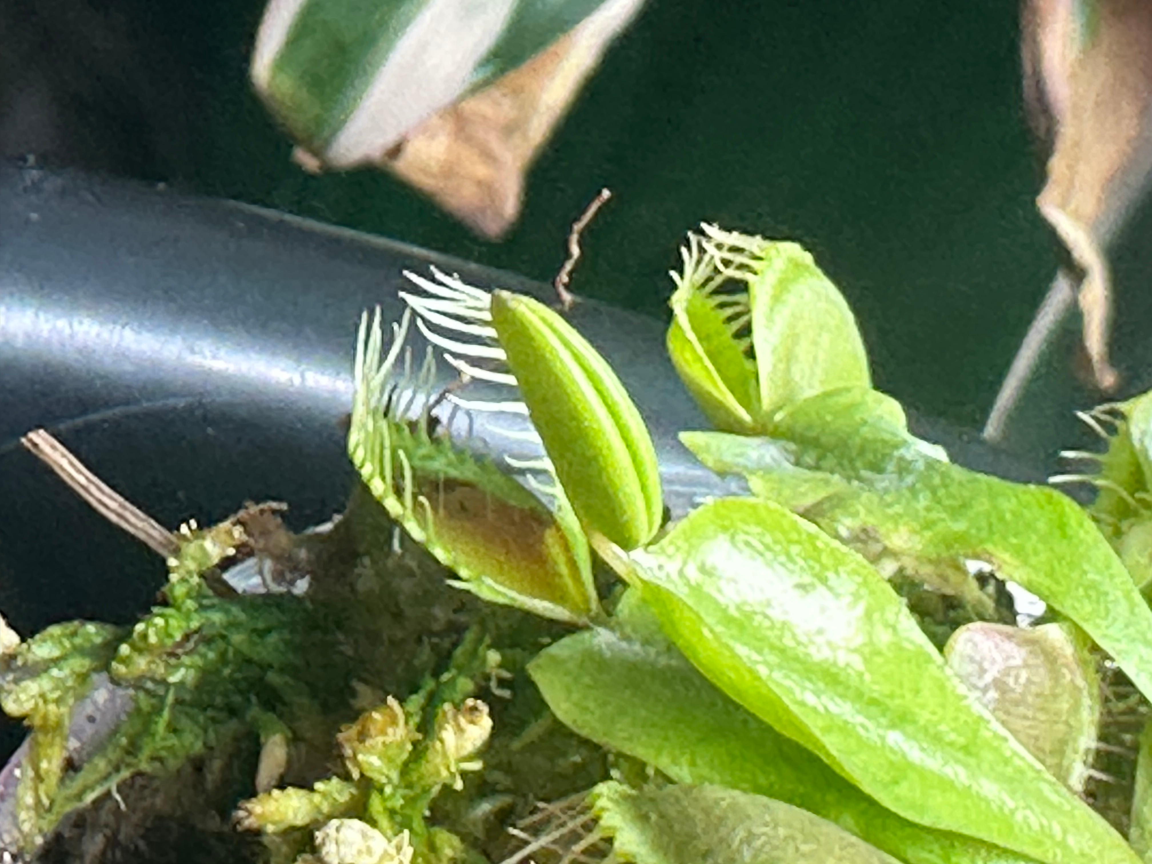 user avatar image for James Phillips