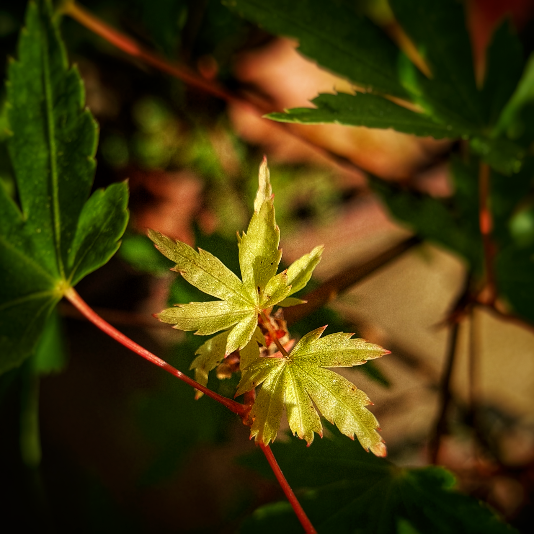 user avatar image for Bec