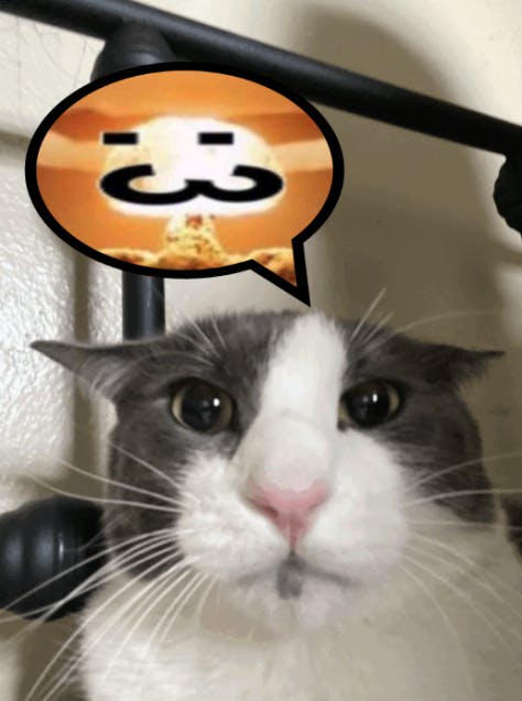 user avatar image for Ren 