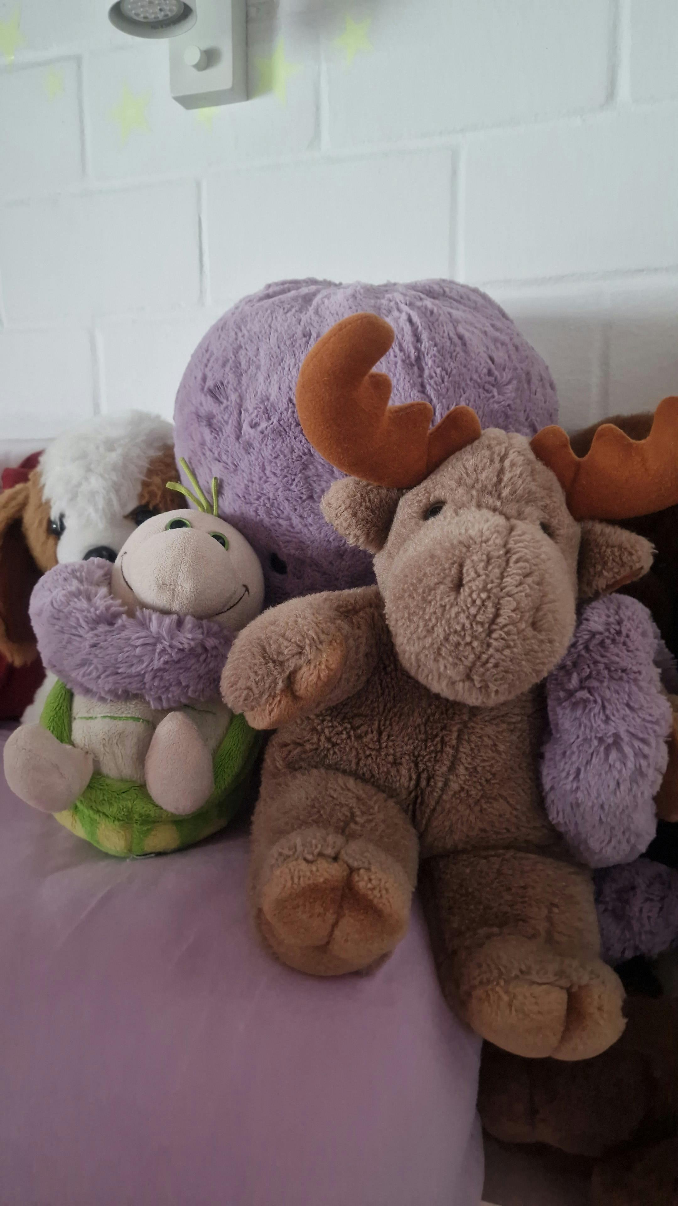 user avatar image for Mike Mueller 